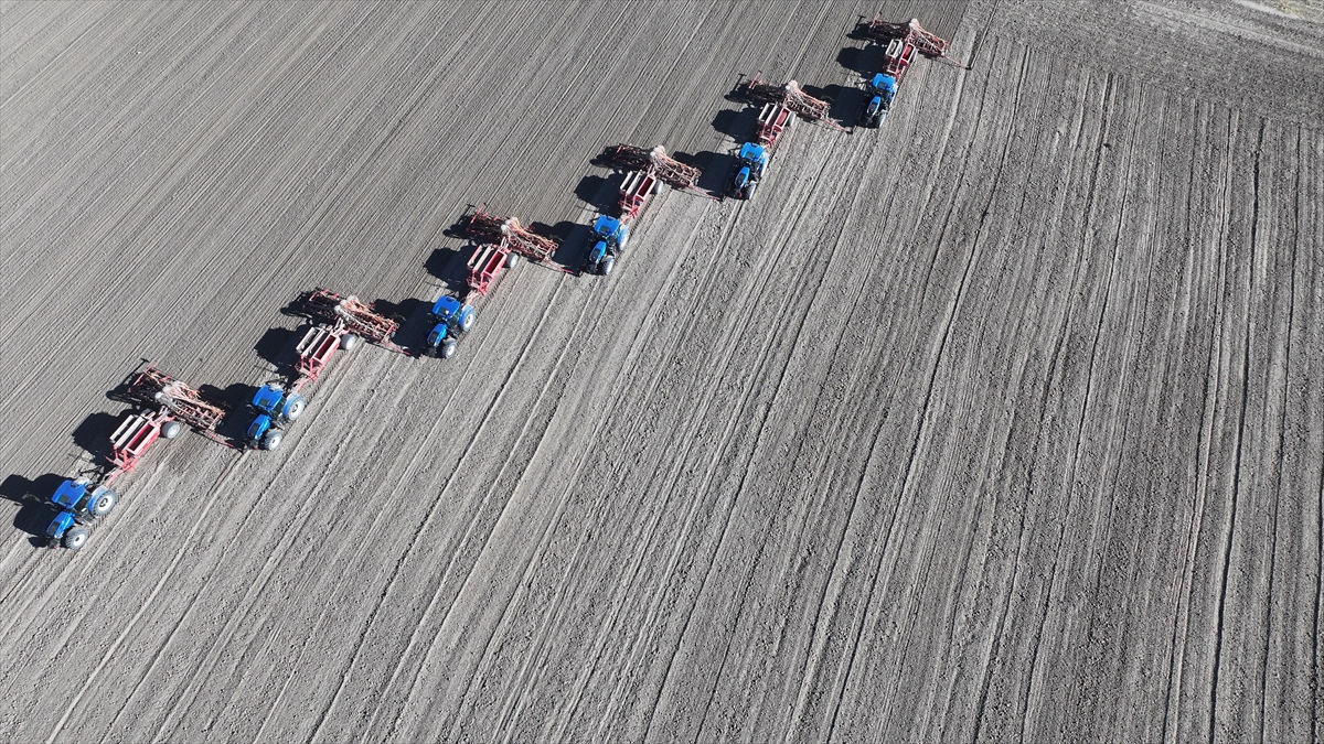 Malya Tarım İşletmesi'nde kuraklığa dayanıklı tohumlarla üretim yapılıyor - Görsel 8