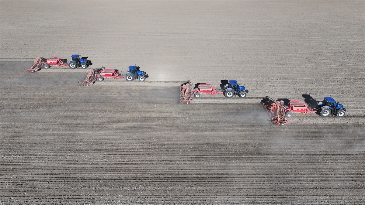 Malya Tarım İşletmesi'nde kuraklığa dayanıklı tohumlarla üretim yapılıyor - Görsel 9
