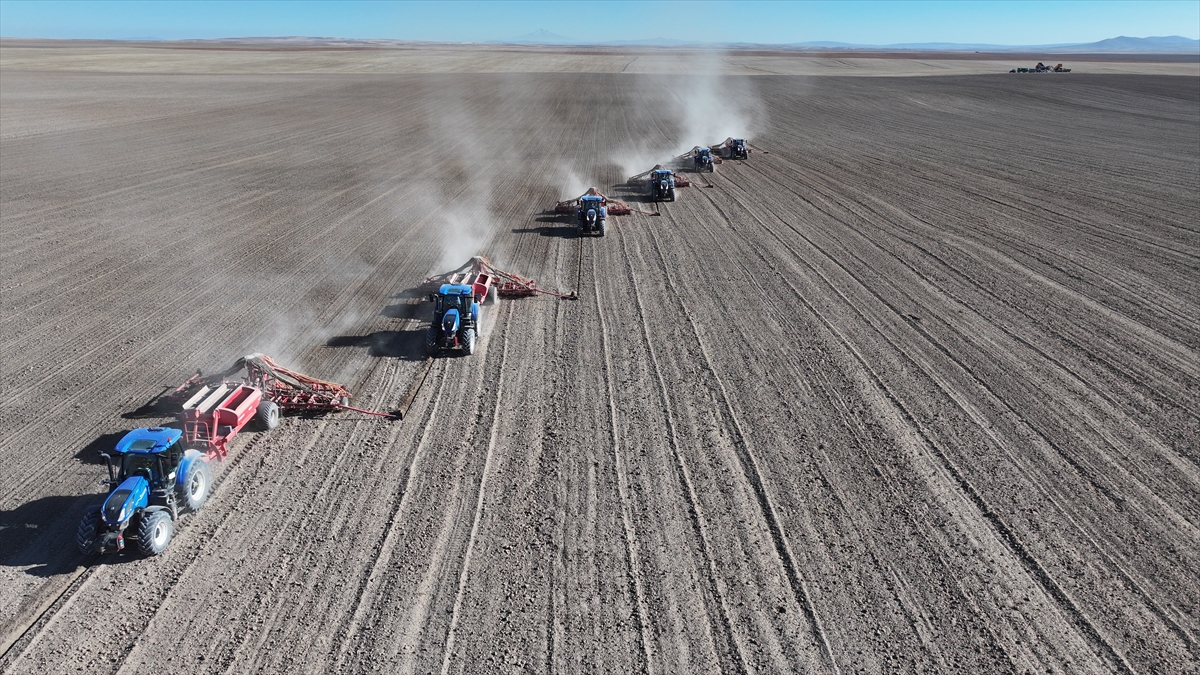 Malya Tarım İşletmesi'nde kuraklığa dayanıklı tohumlarla üretim yapılıyor - Görsel 10