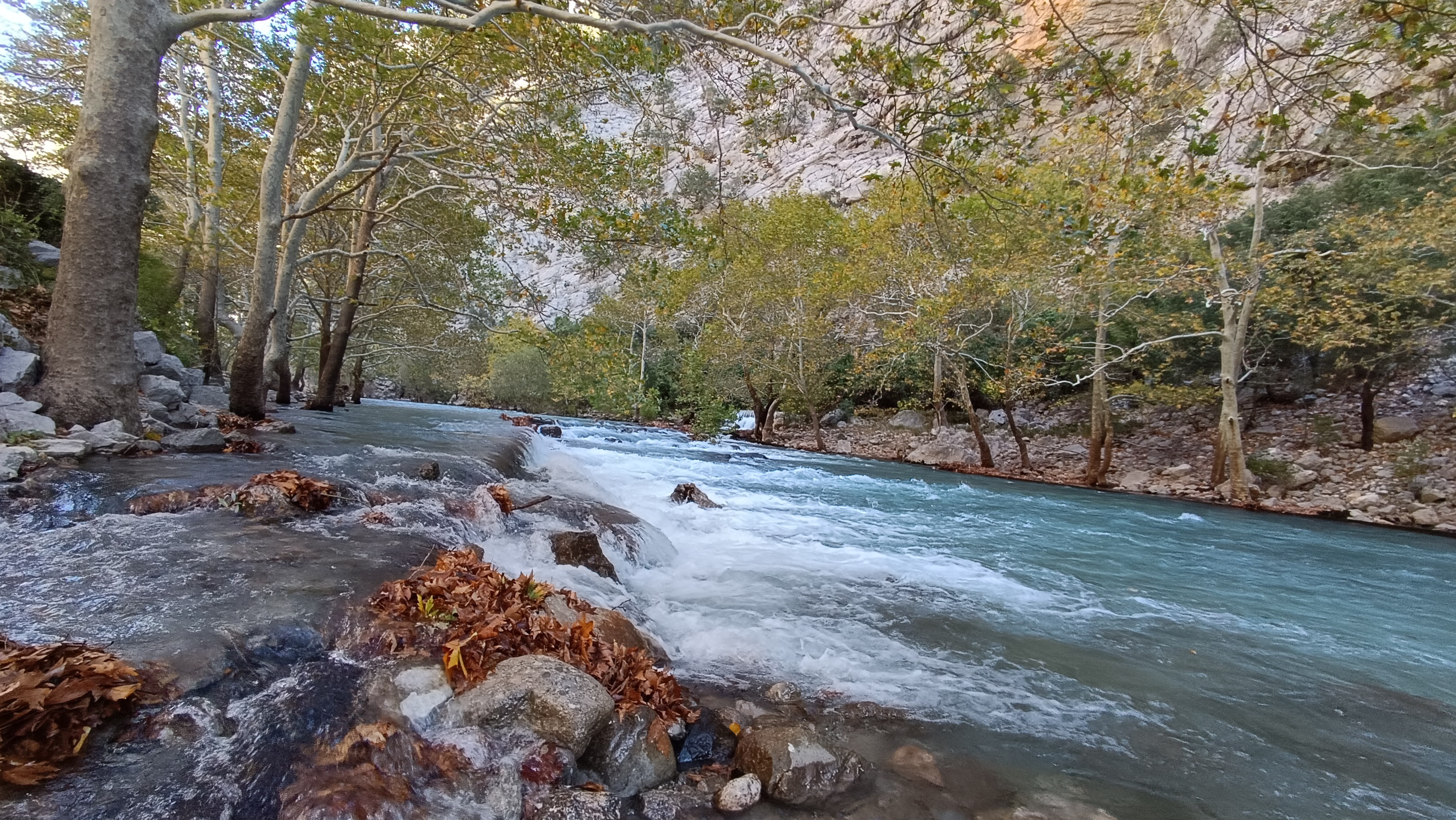  Üzümdere'nin Çölü Yeşerdi: Kuraklıktan Çaresizliğe, Yağmurlardan Umuda - Görsel 1