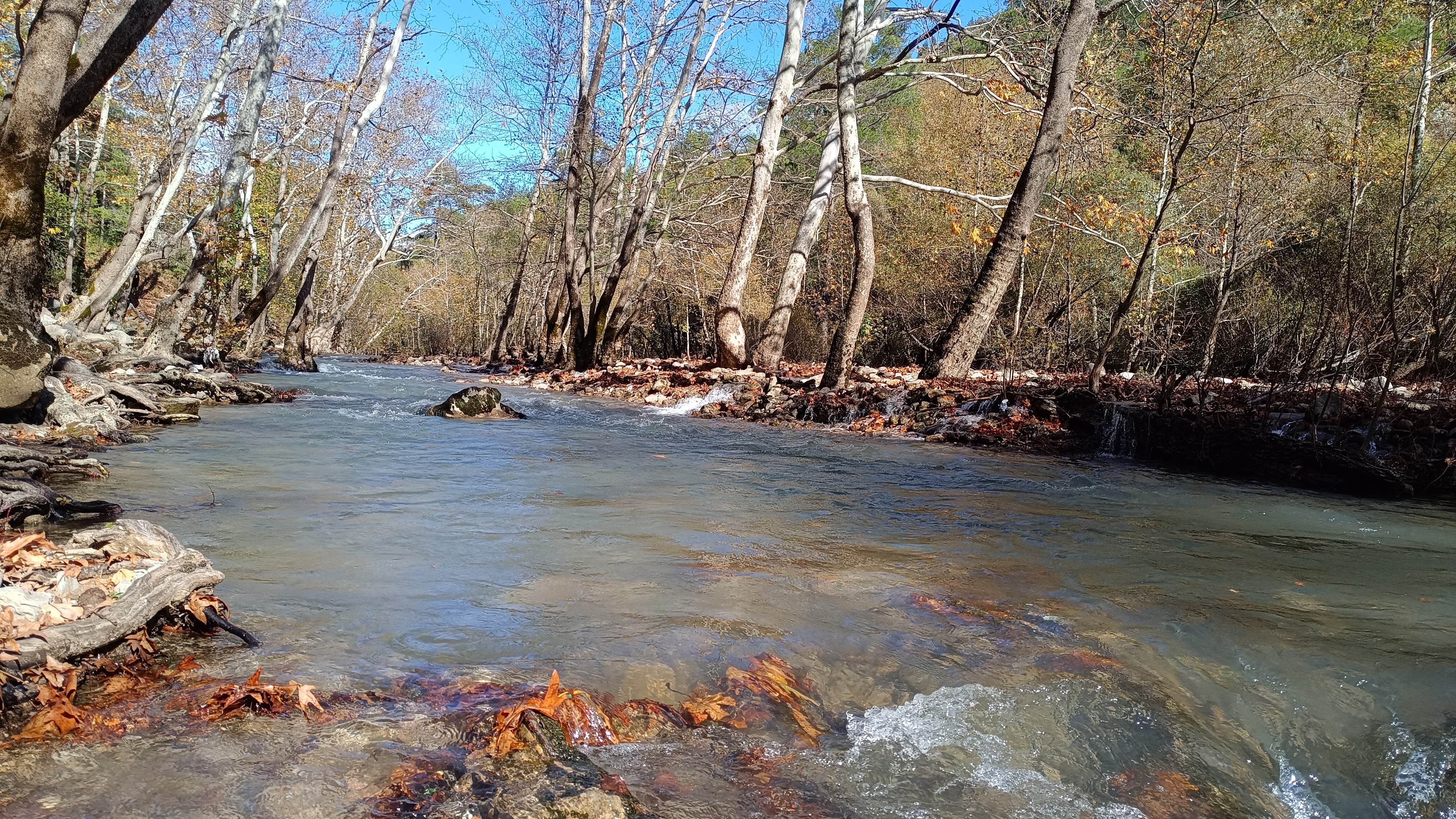  Üzümdere'nin Çölü Yeşerdi: Kuraklıktan Çaresizliğe, Yağmurlardan Umuda - Görsel 3
