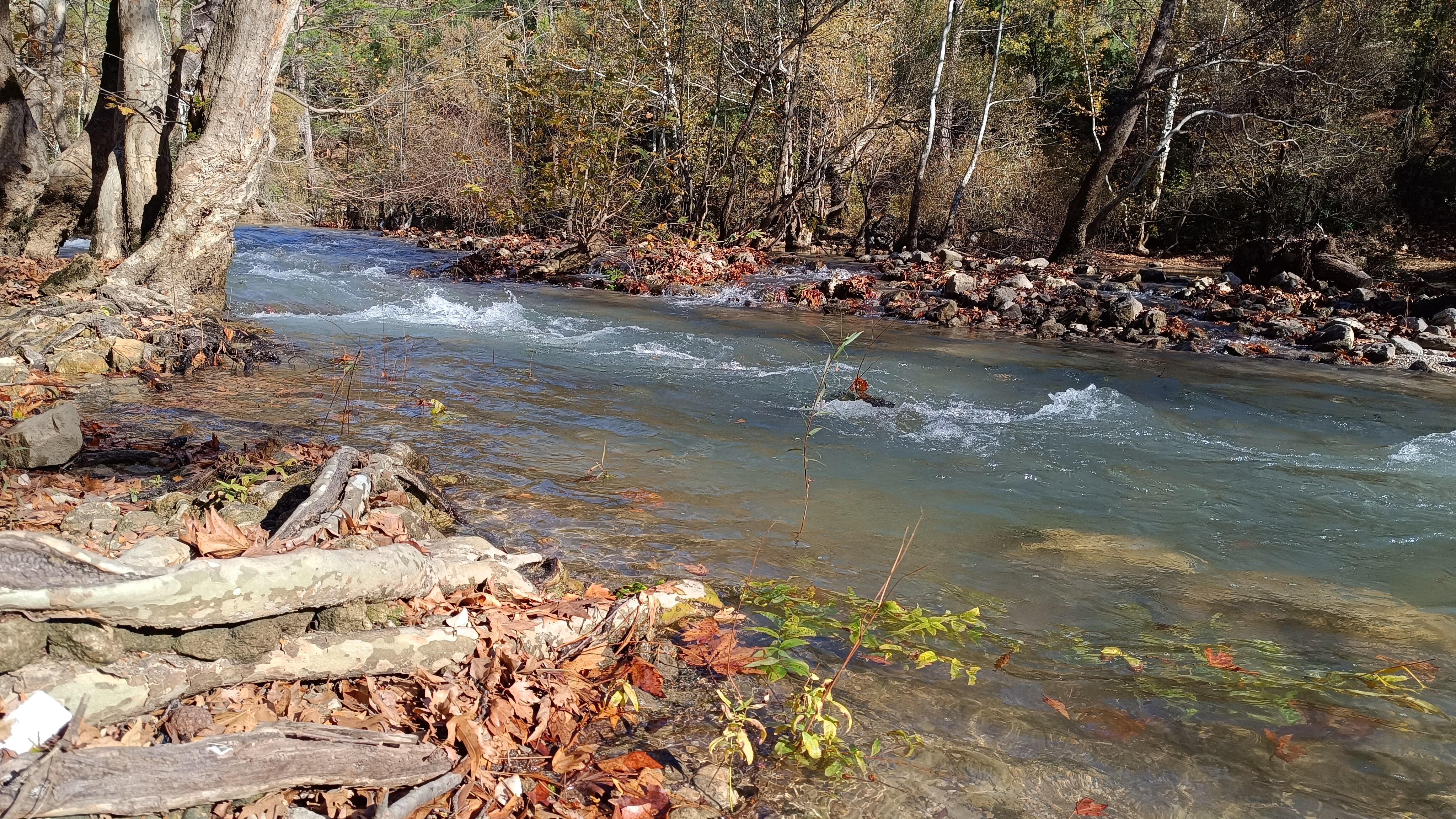  Üzümdere'nin Çölü Yeşerdi: Kuraklıktan Çaresizliğe, Yağmurlardan Umuda - Görsel 4