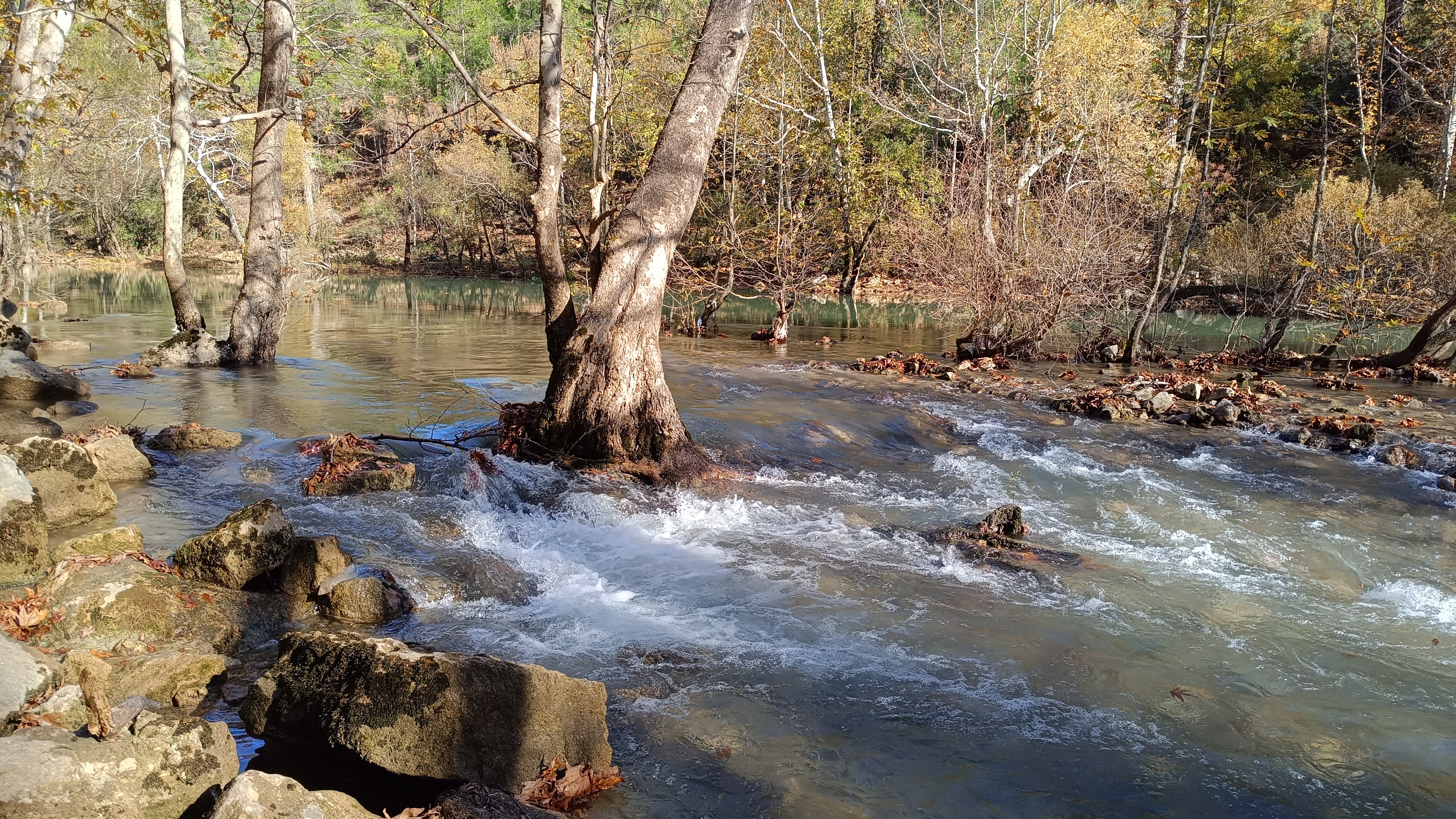  Üzümdere'nin Çölü Yeşerdi: Kuraklıktan Çaresizliğe, Yağmurlardan Umuda - Görsel 5