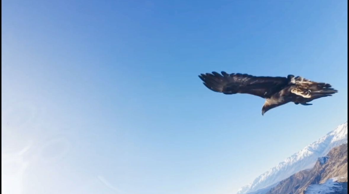 Kartalın kaptığı dron 6 saatlik tırmanışla geri alındı; o anlar kamerada - Görsel 3