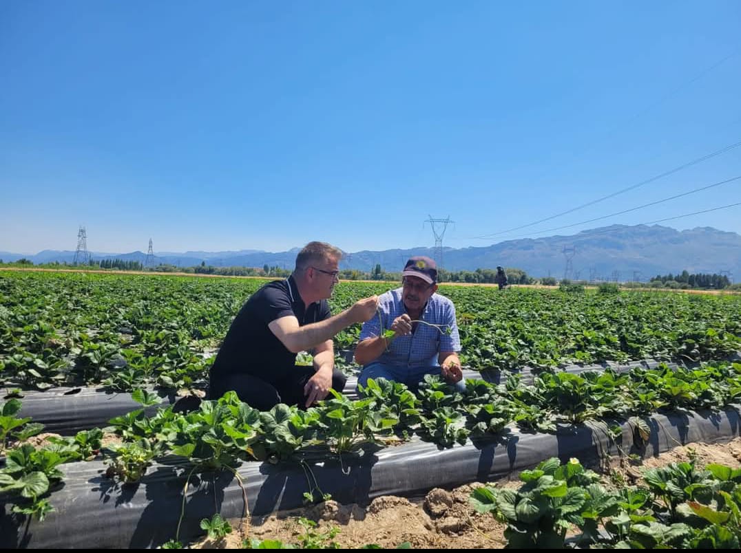 SEYDİŞEHİR ÇİLEĞİ TESCİLLENDİ  - Görsel 1