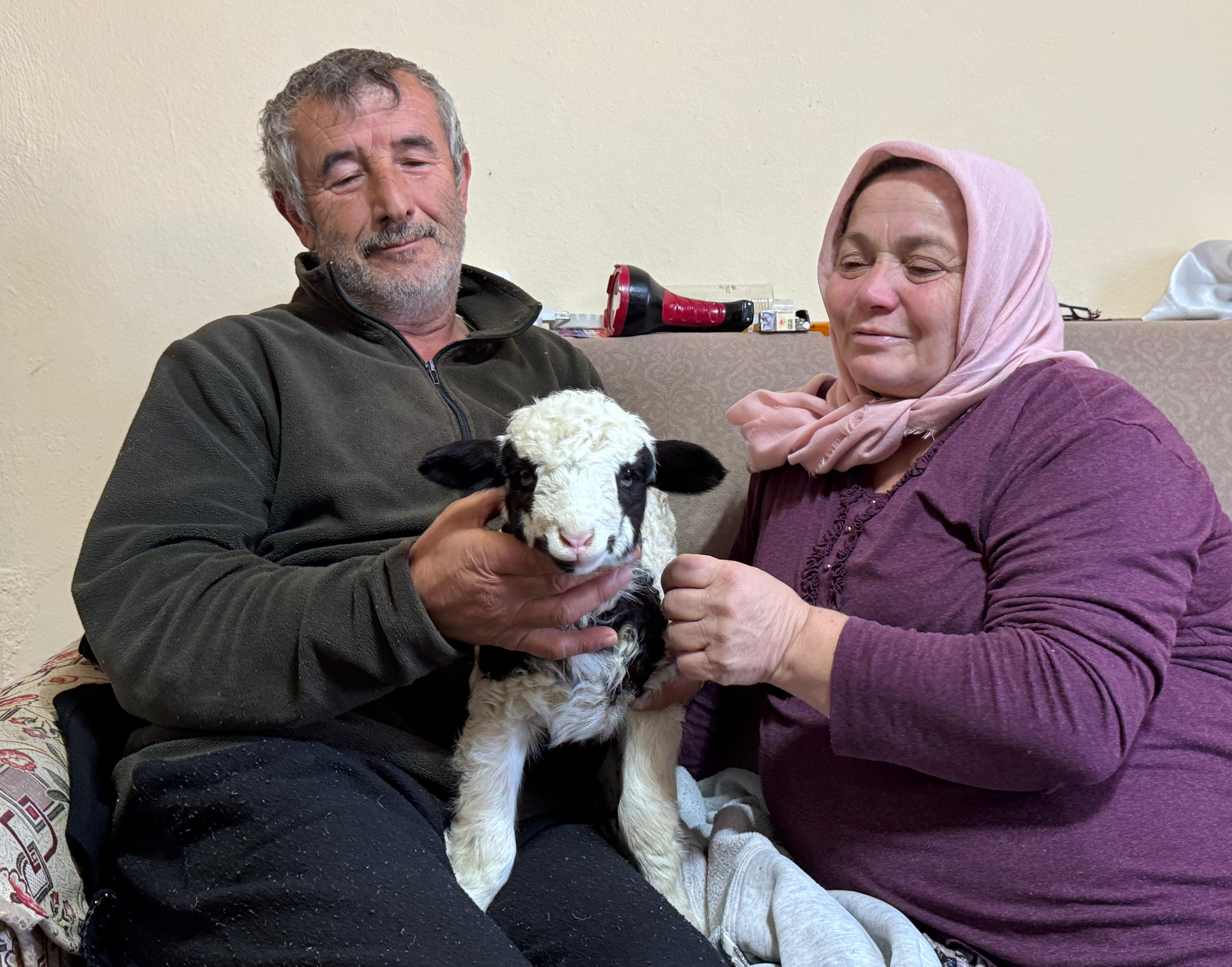 1 haftalık kuzuya evde bebek gibi bakıyorlar - Görsel 5