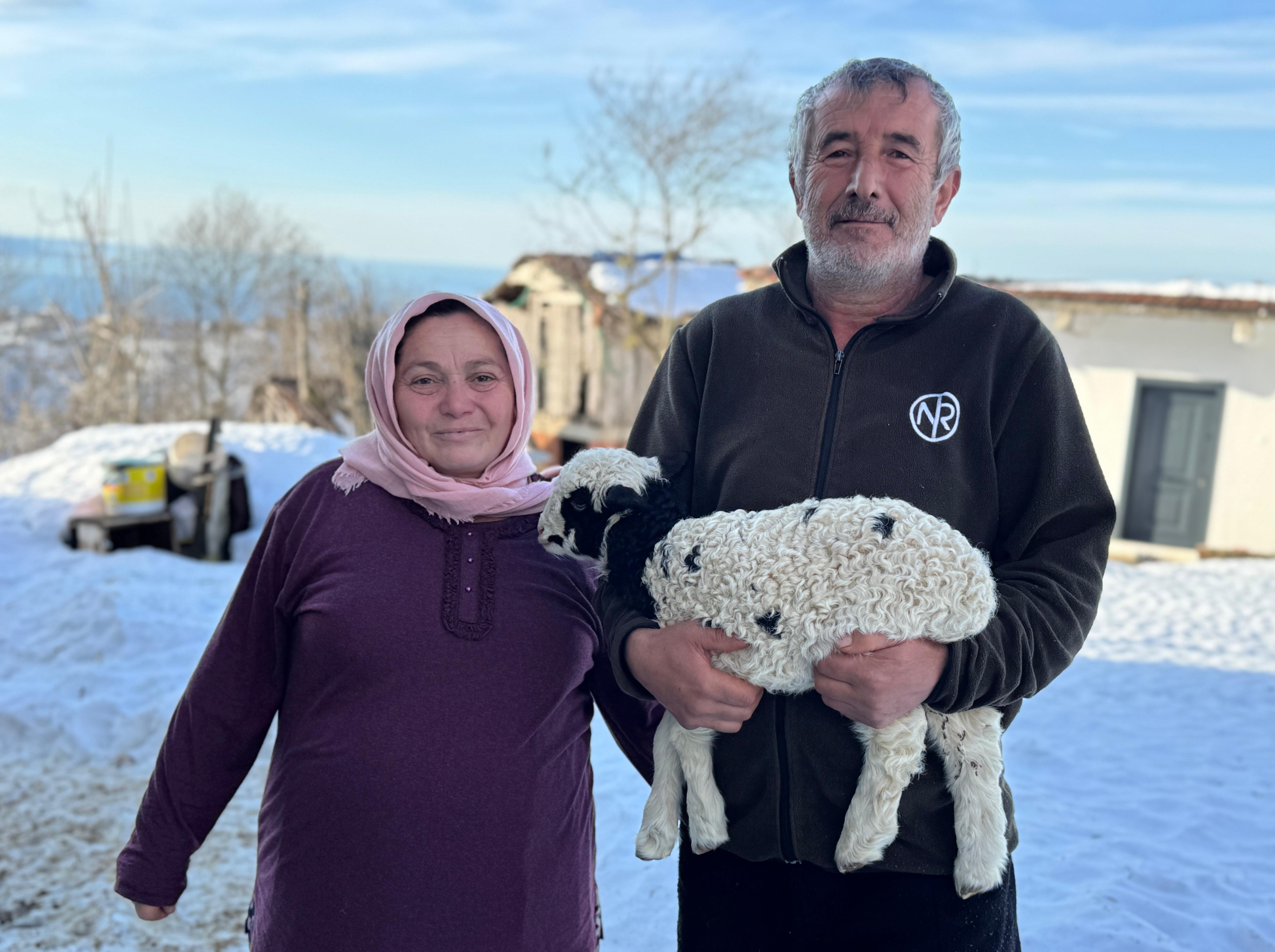 1 haftalık kuzuya evde bebek gibi bakıyorlar - Görsel 6