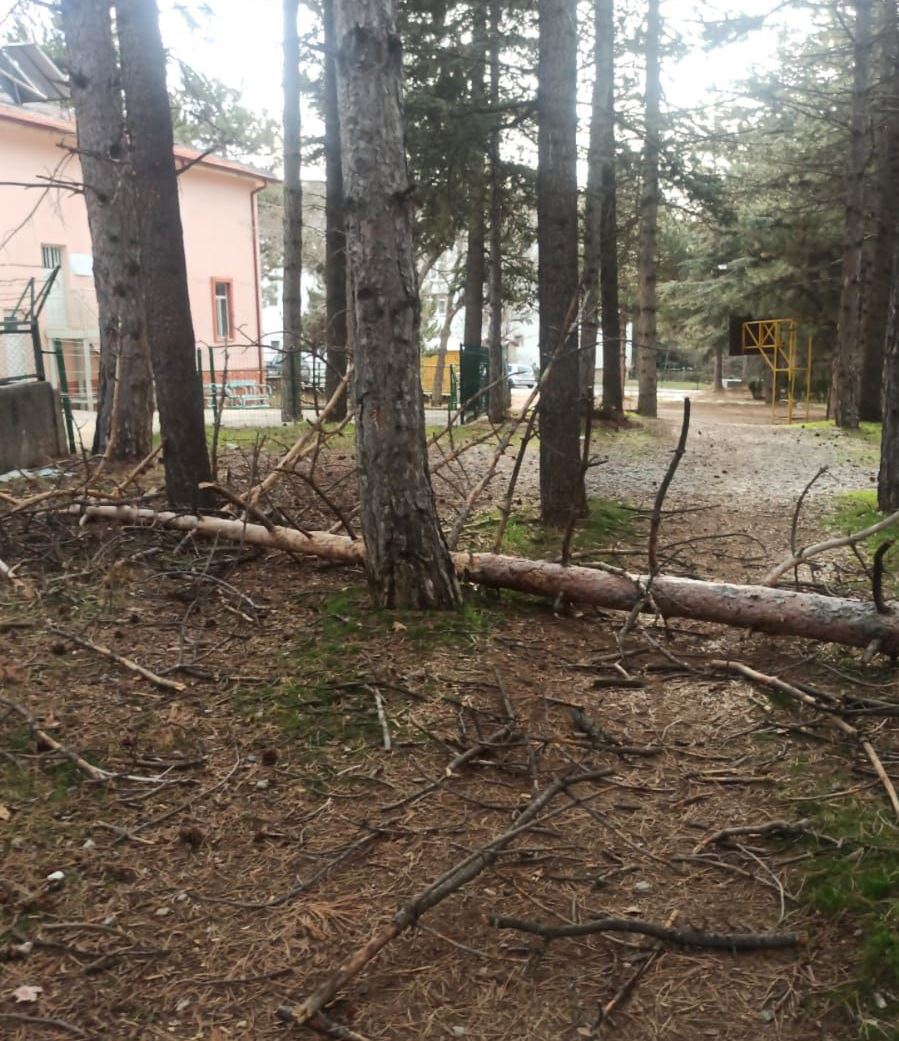 BELEDİYE EKİPLERİ FIRTINA NEDENİYLE SEFERBER OLDU  - Görsel 10