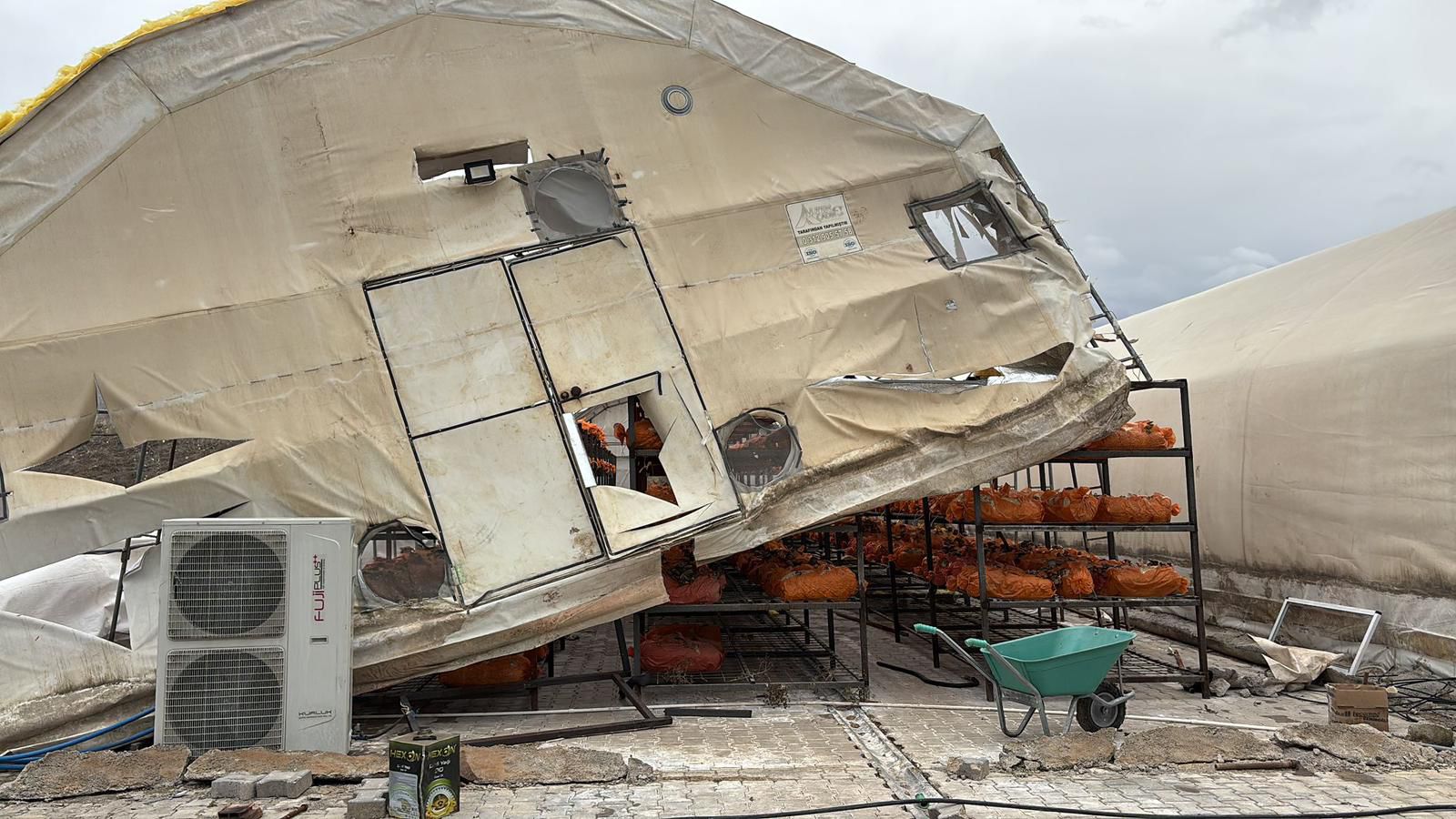 Seydişehir'de Şiddetli Rüzgar Mantar Üreticilerini Vurdu: Çadırlar Yerle Bir Oldu! - Görsel 1