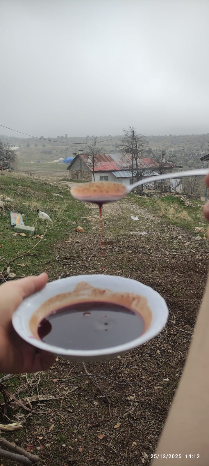 Toroslar’ın Şifa Kaynağı Dogasever Elinde Hayat Buluyor: Ahırlı’da Andız Pekmezi Mesaisi - Görsel 2