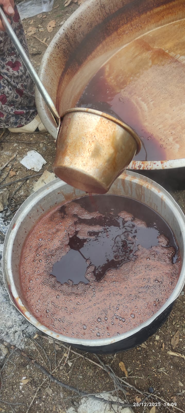 Toroslar’ın Şifa Kaynağı Dogasever Elinde Hayat Buluyor: Ahırlı’da Andız Pekmezi Mesaisi - Görsel 3