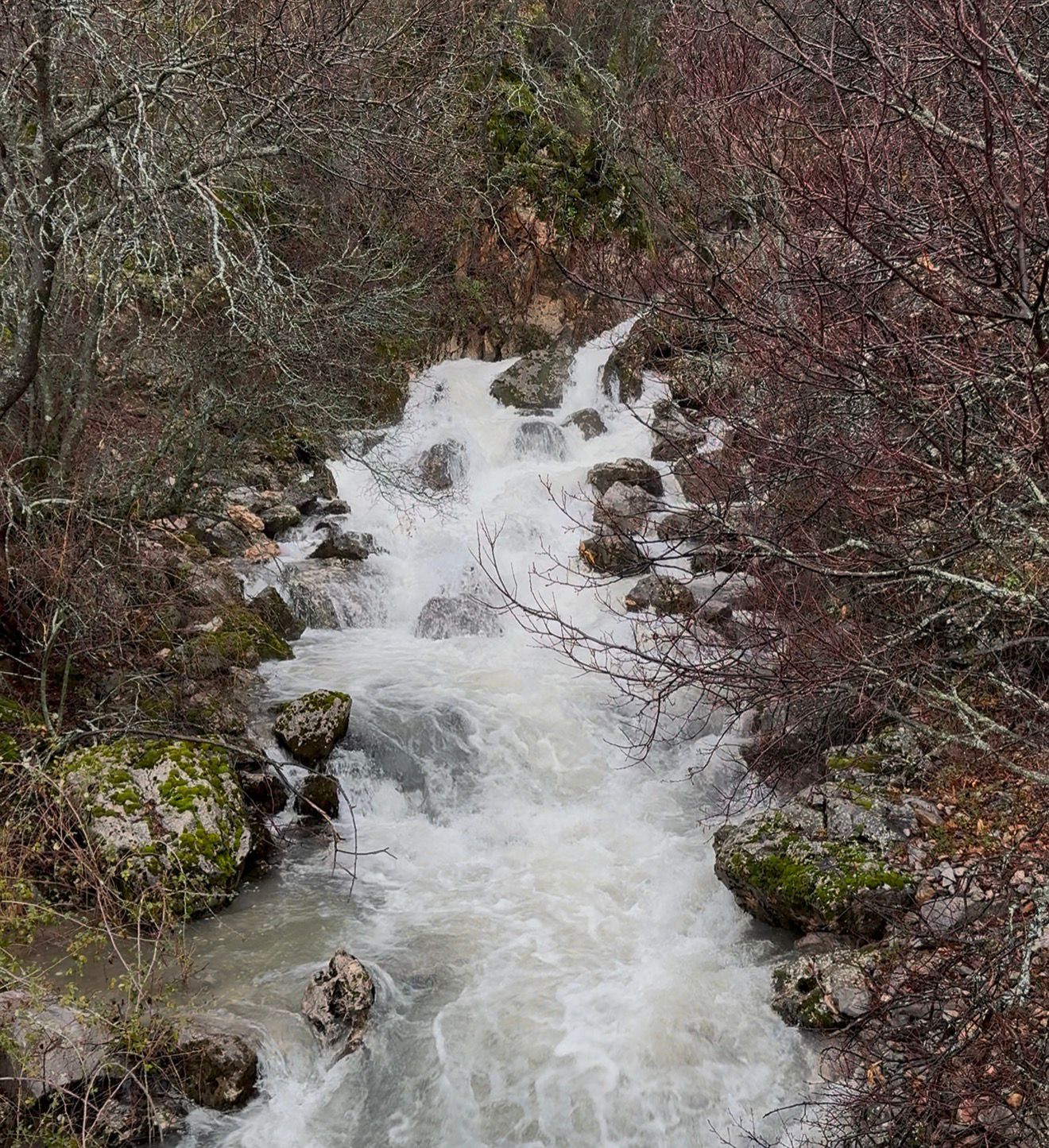 SEYDİŞEHİR’DE SULAMA SULARI BOŞA MI GİDİYOR? POMPA YETERSİZLİĞİ İLE GÖLÜ DEGİL DÜDENLERİMİ DOLDURUYOR. ÖZELHABER - Görsel 1