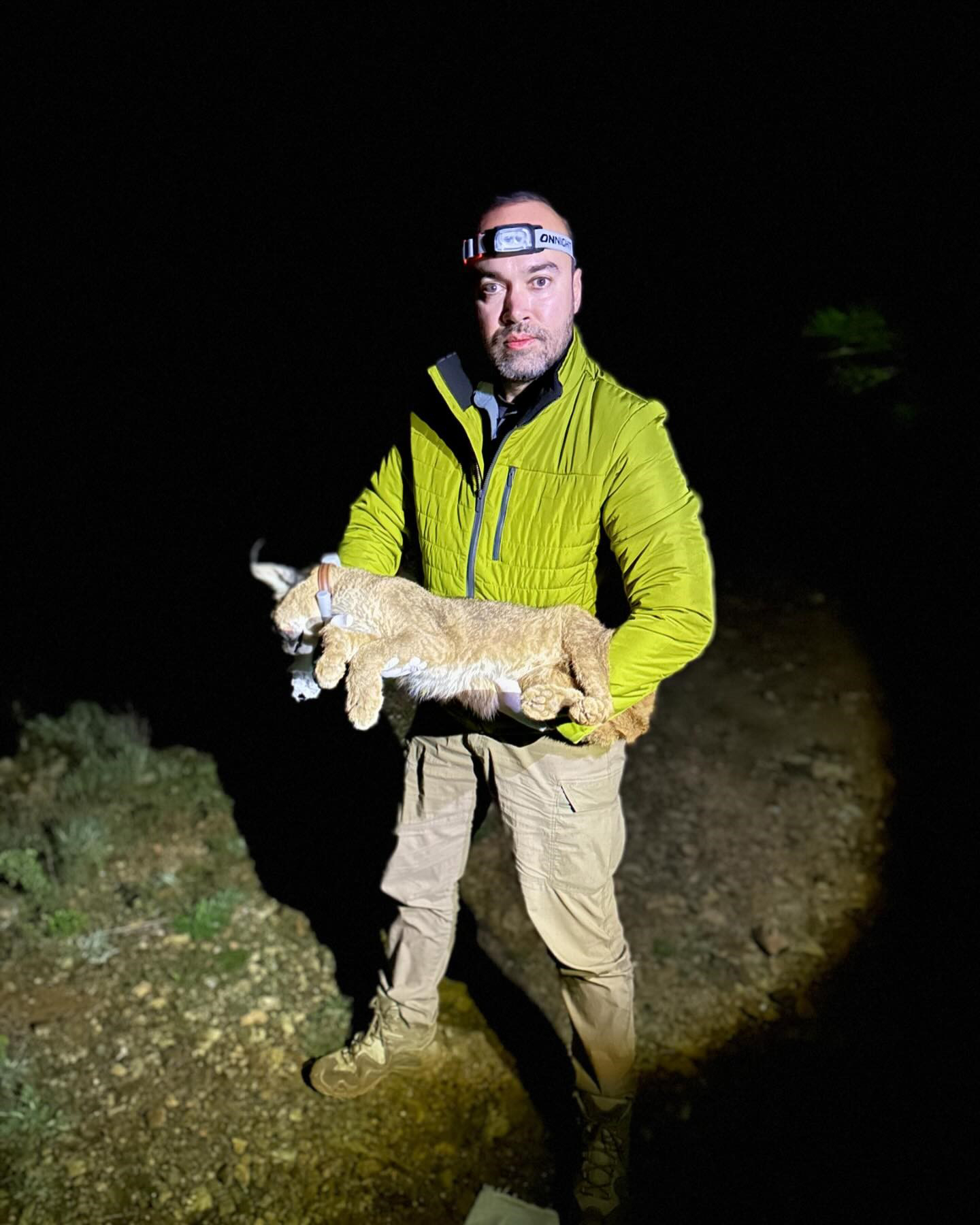 Antalya - Dr. İlemin: Karakulak türünü Akdeniz ekosistemi için gösterge tür olarak tescilledik - Görsel 1
