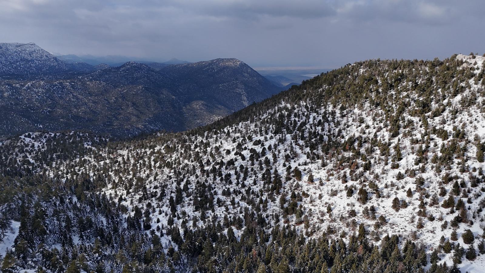 Toroslar’ın İncisi Gölcük Yaylası: Konya’nın Karadeniz’i Beyaza Büründü! - Görsel 7
