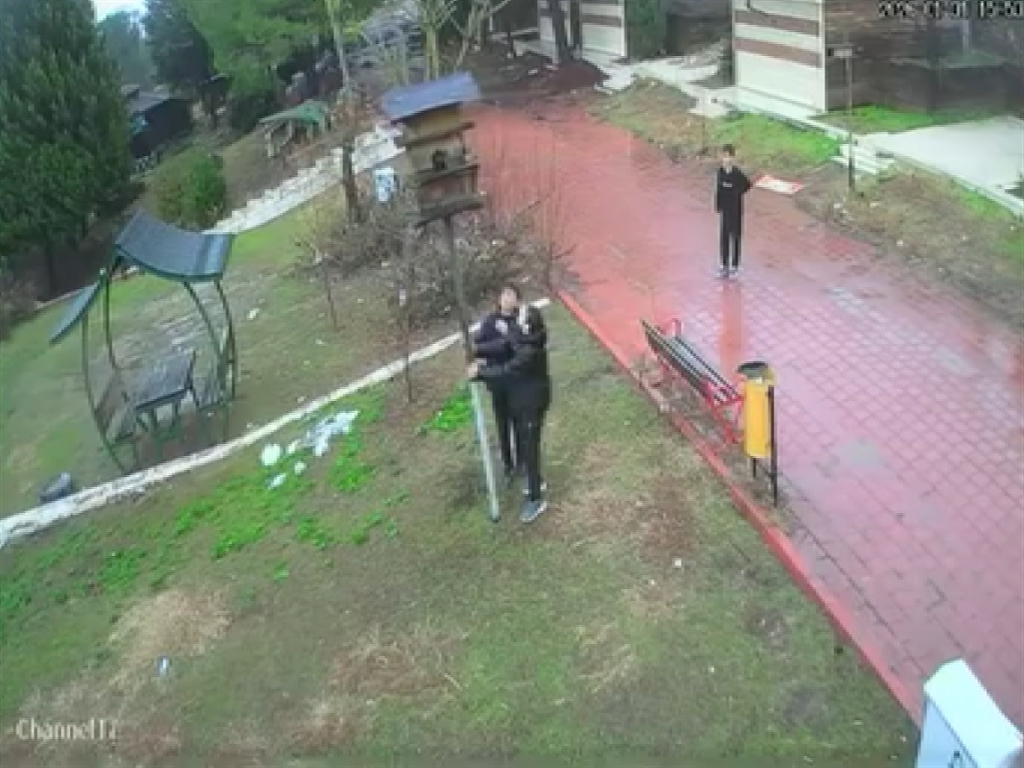 Adana- Kuş yuvasını parçalayan çocuklara ev hapsi - Görsel 2