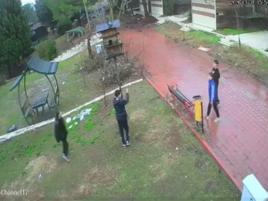 Adana- Kuş yuvasını parçalayan çocuklara ev hapsi - Görsel 3