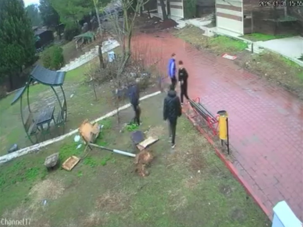 Adana- Kuş yuvasını parçalayan çocuklara ev hapsi - Görsel 4