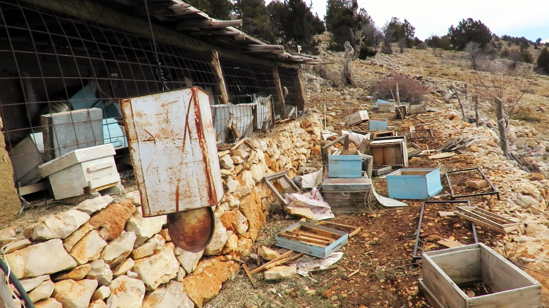 Konya - Ayı, tarihi 'hanay'lara girip balları yedi; arıcılar yardım istedi - Görsel 2