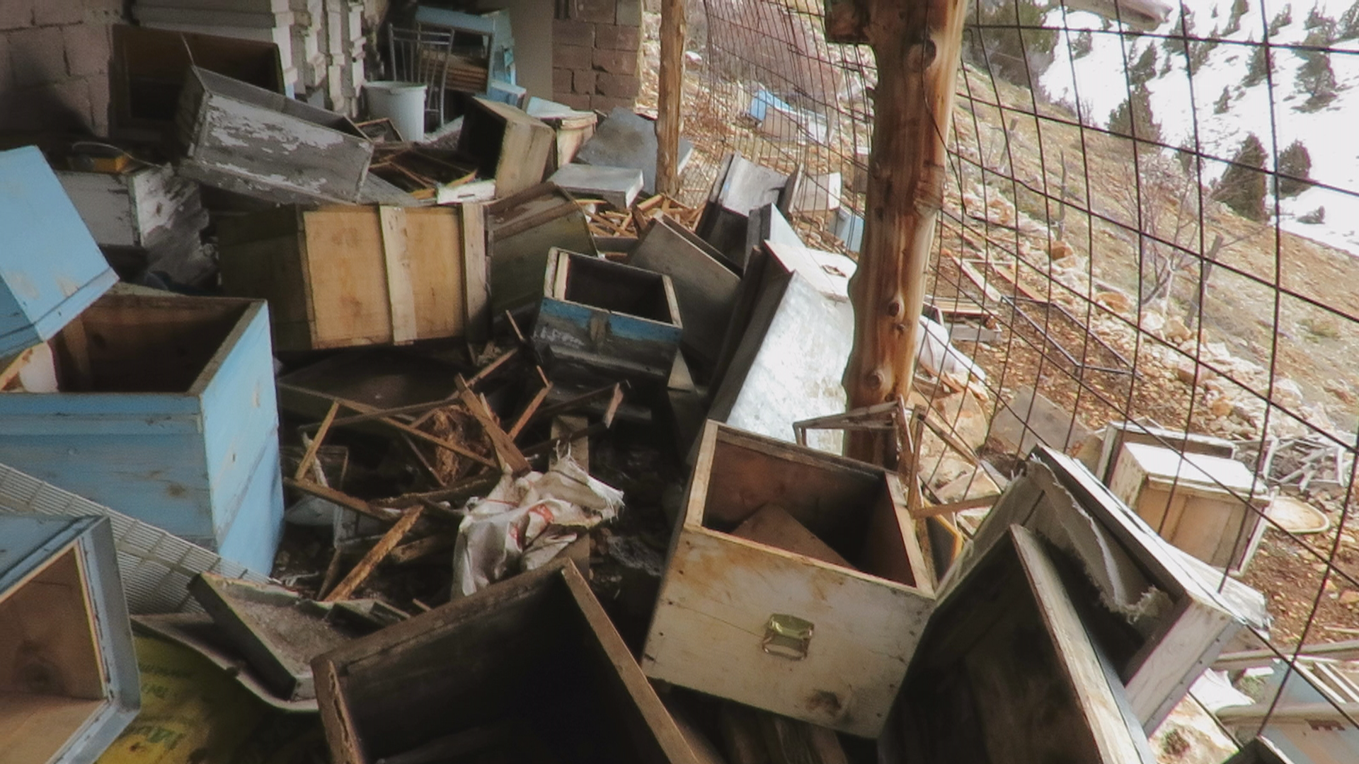 Konya - Ayı, tarihi 'hanay'lara girip balları yedi; arıcılar yardım istedi - Görsel 5