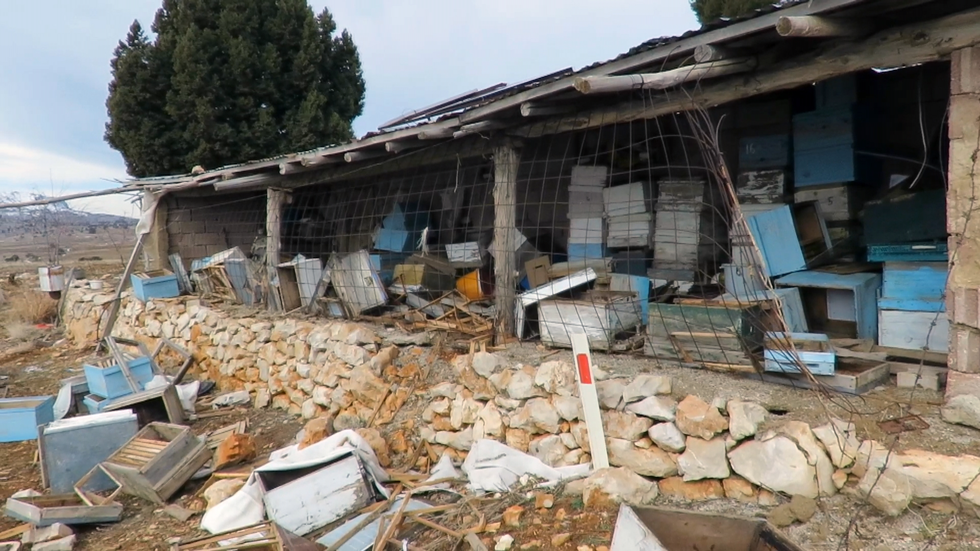 Konya - Ayı, tarihi 'hanay'lara girip balları yedi; arıcılar yardım istedi - Görsel 6