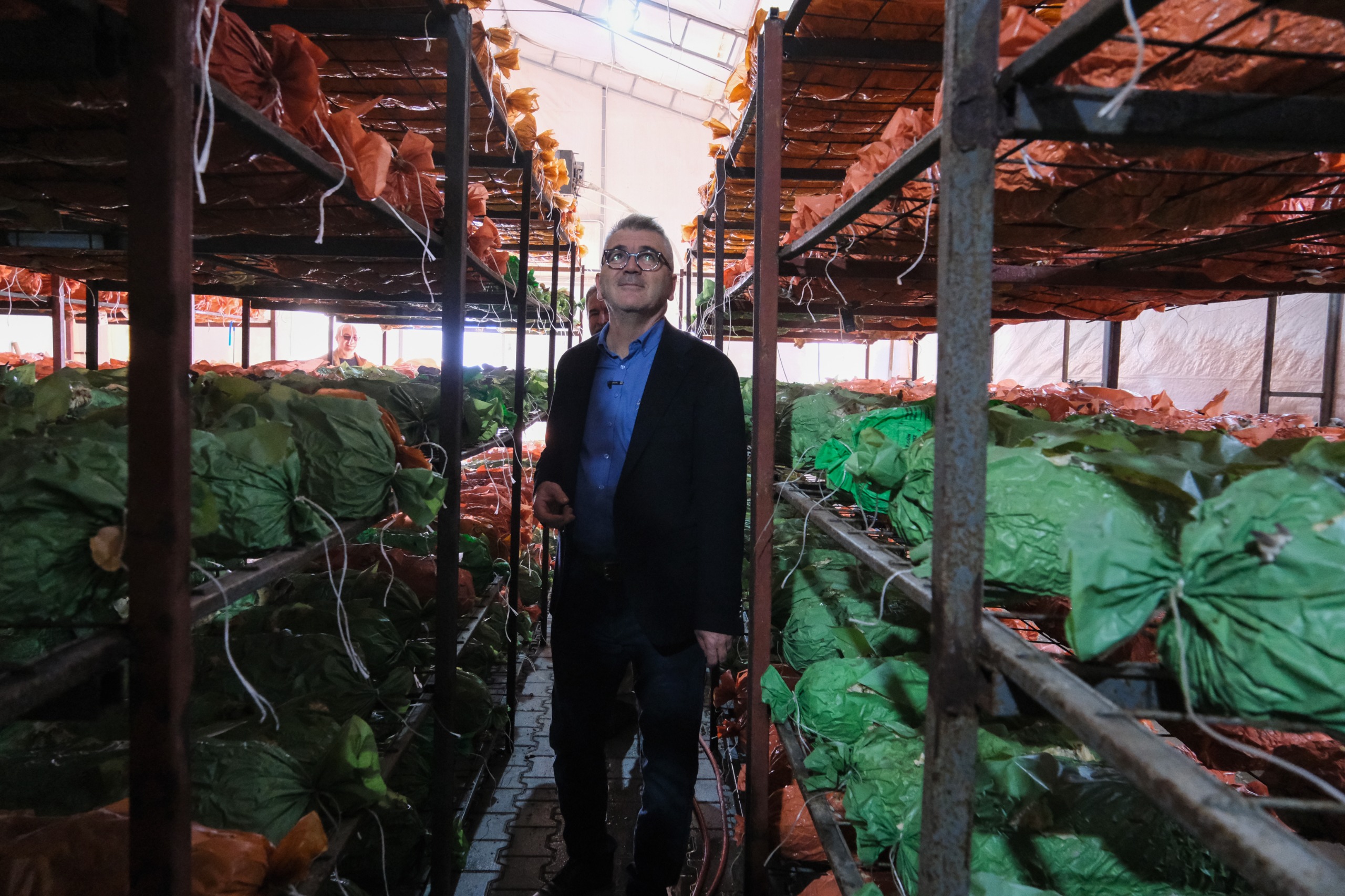 RÜZGARDAN SERASI ZARAR GÖREN ÜRETİCİYE BAŞKAN USTAOĞLU’NDAN ZİYARET  - Görsel 1