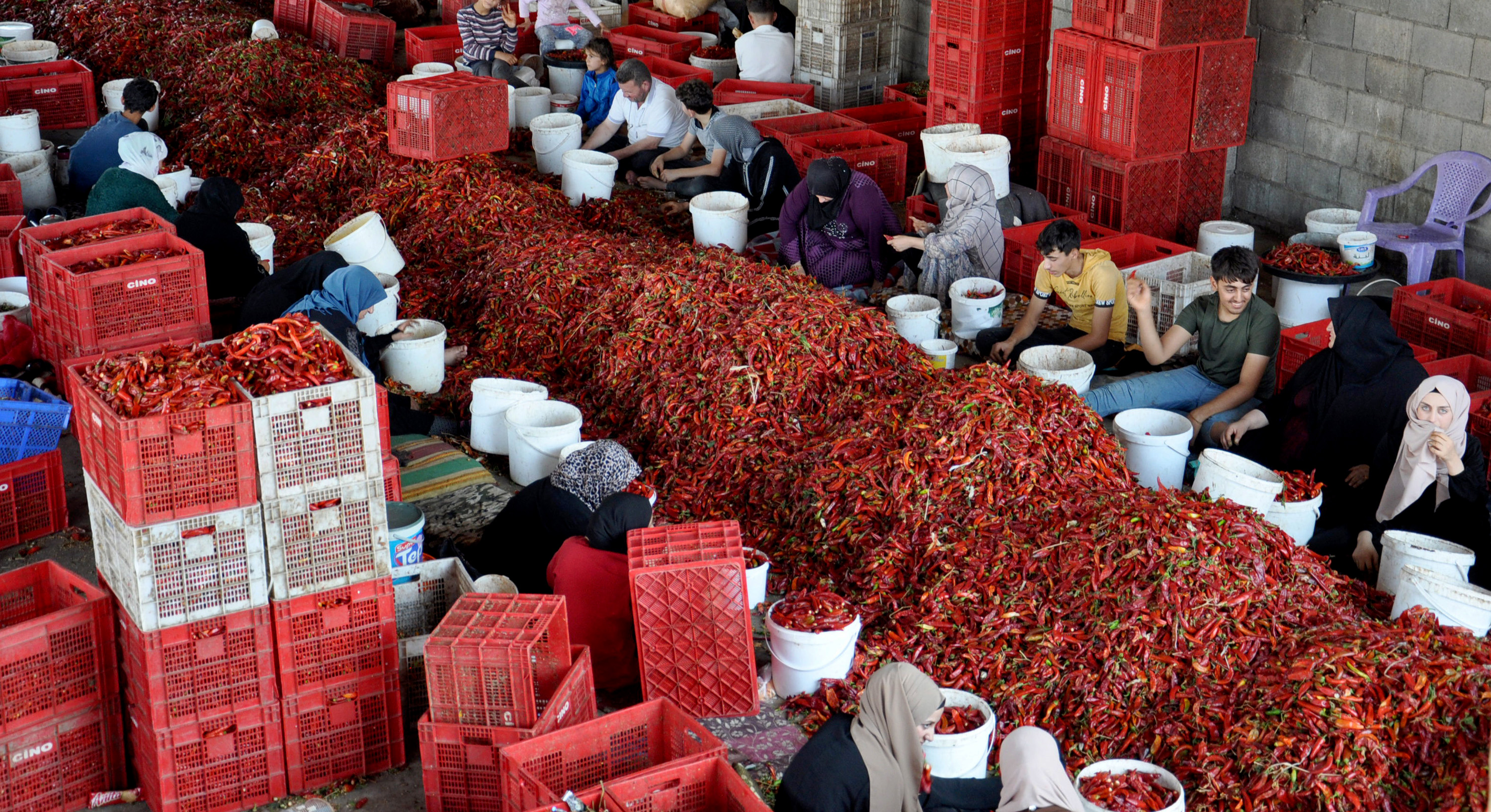 Gaziantep’ten 60 ülkeye, 5 milyon dolarlık pul biber ihracatı - Görsel 1