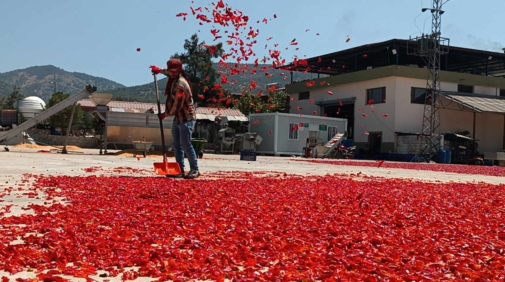 Gaziantep’ten 60 ülkeye, 5 milyon dolarlık pul biber ihracatı - Görsel 5