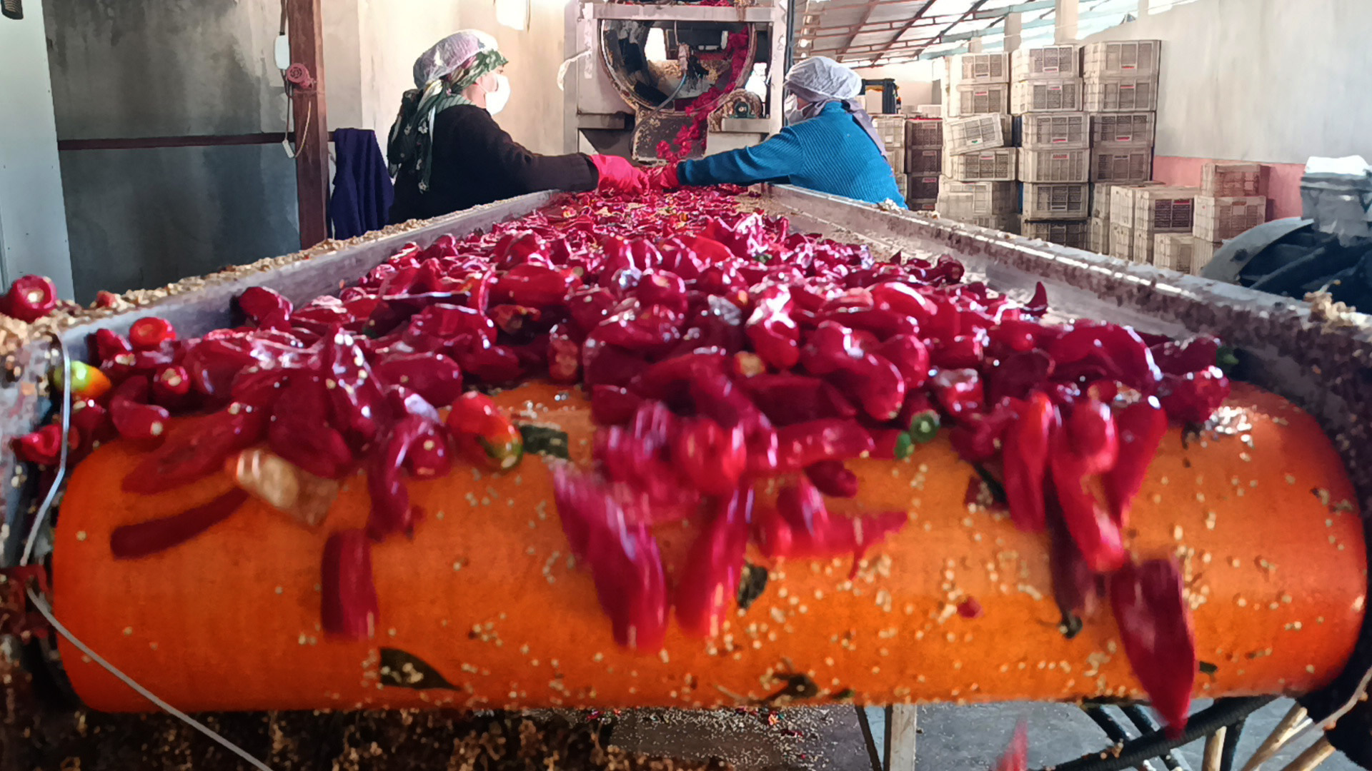 Gaziantep’ten 60 ülkeye, 5 milyon dolarlık pul biber ihracatı - Görsel 7