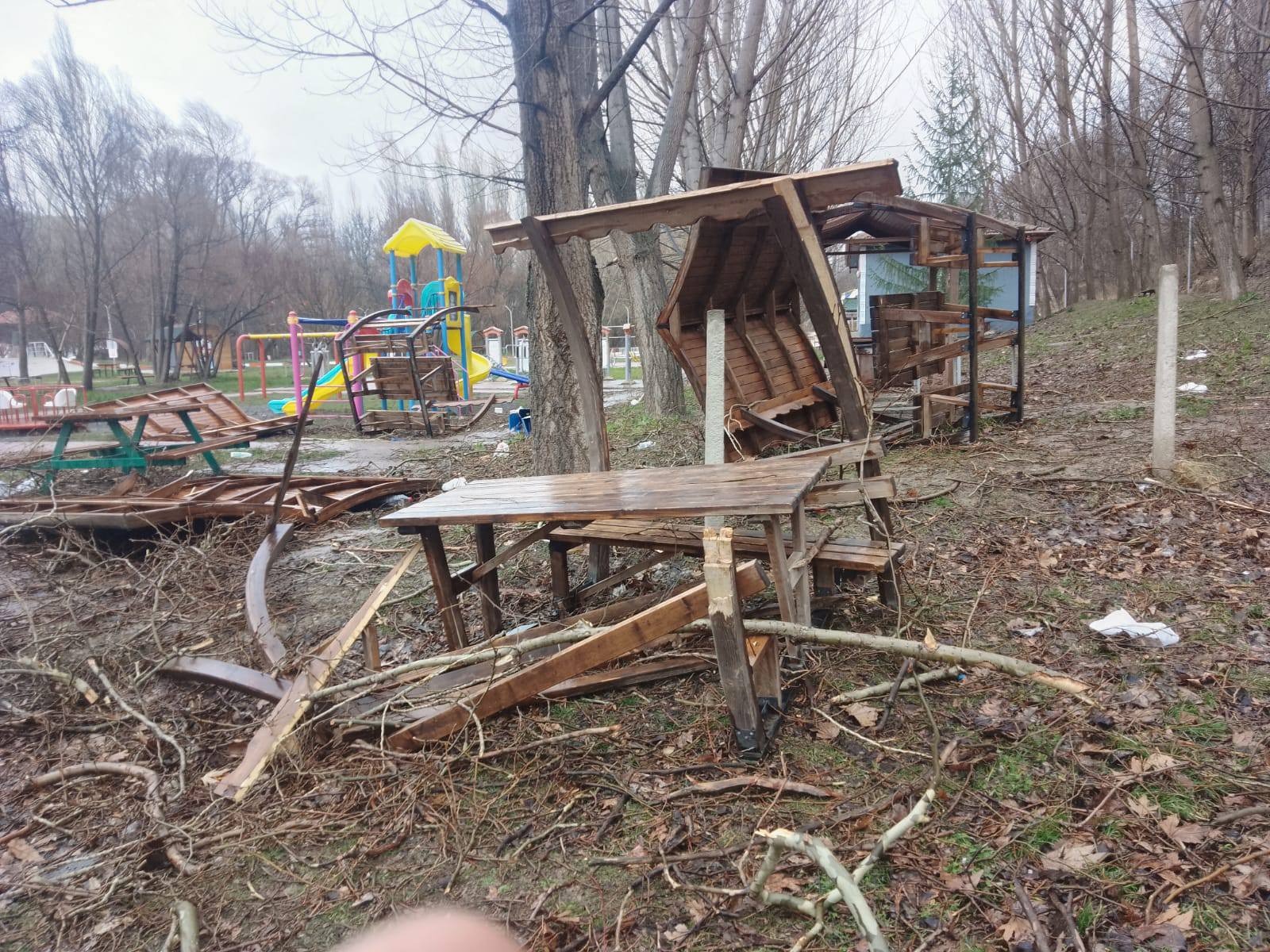 Konya’nın 500 Yıllık Çınarı Fırtınaya Dayanamadı - Görsel 3