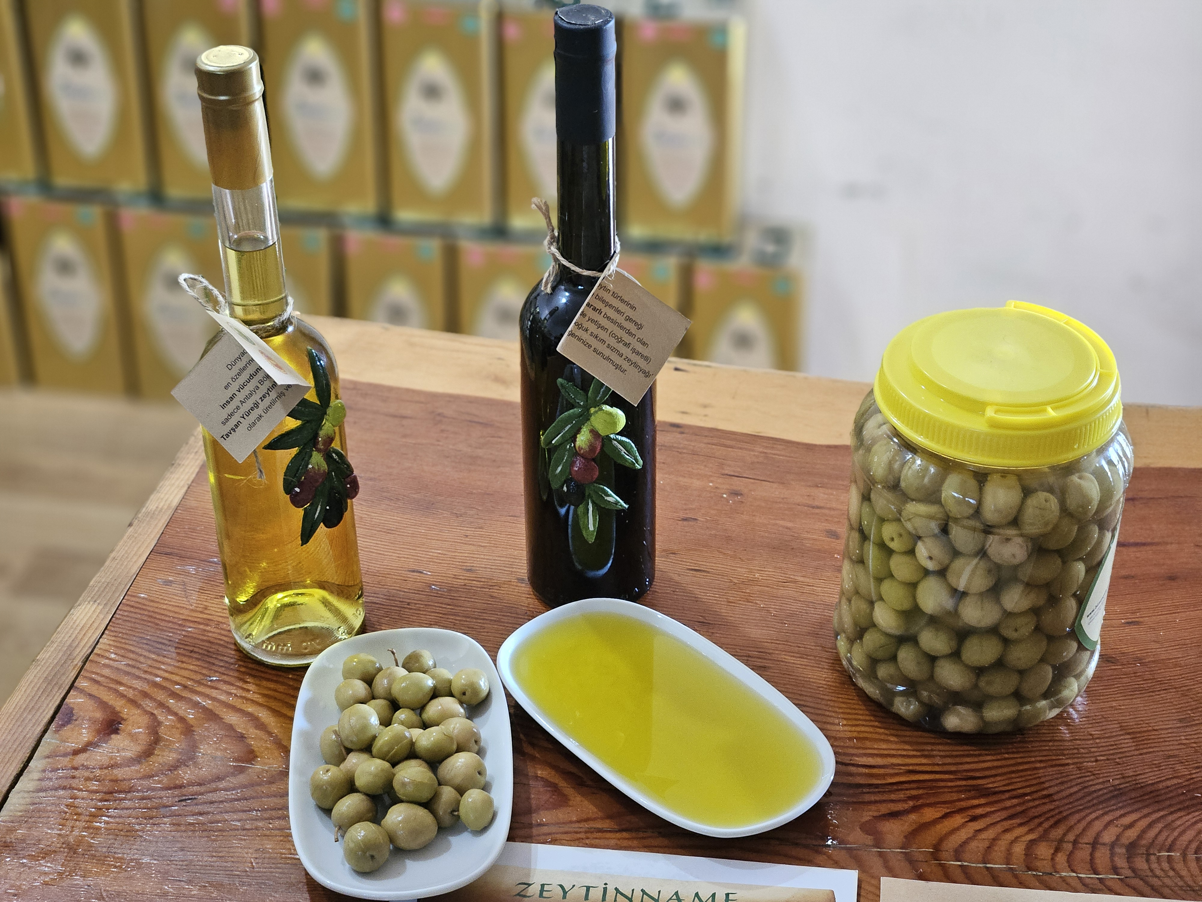 Dr. Kahraman: Tavşan yüreği zeytinyağı, kemoterapi kadar etkili - Görsel 1