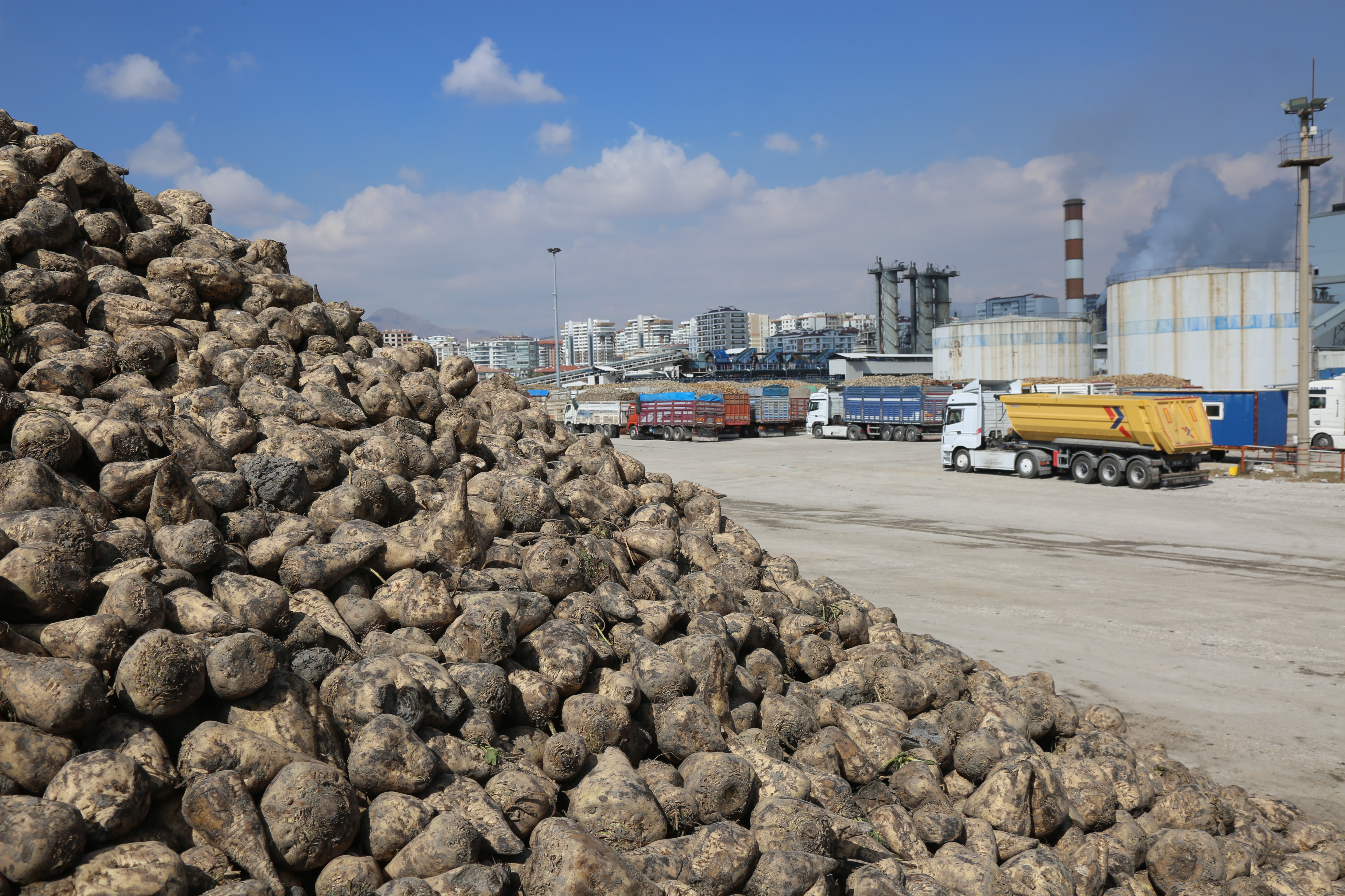 Konya Şeker’den üreticiye toplam 12 milyar 780 milyon 545 bin TL’lik ödeme - Görsel 1