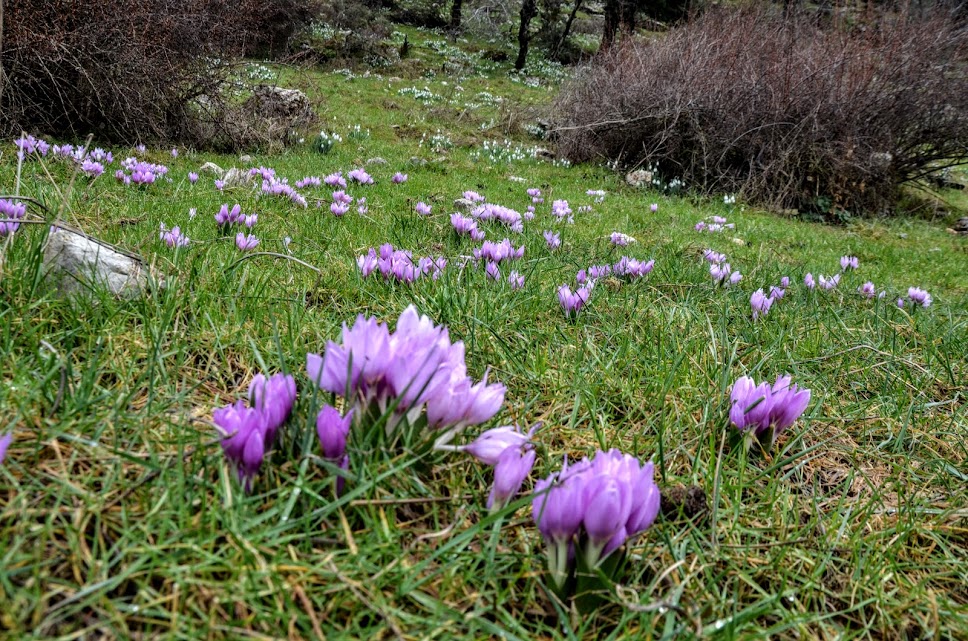 Baharın Müjdecisi İlk Cemre Bugün Düşüyor! - Görsel 2