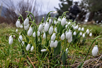 Baharın Müjdecisi İlk Cemre Bugün Düşüyor! - Görsel 3