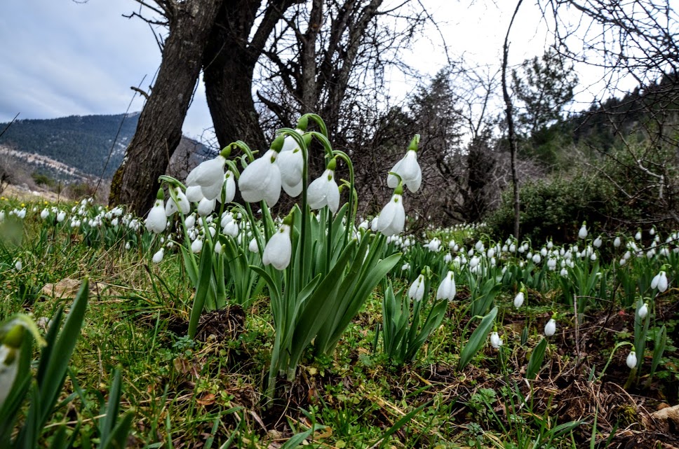 Baharın Müjdecisi İlk Cemre Bugün Düşüyor! - Görsel 4