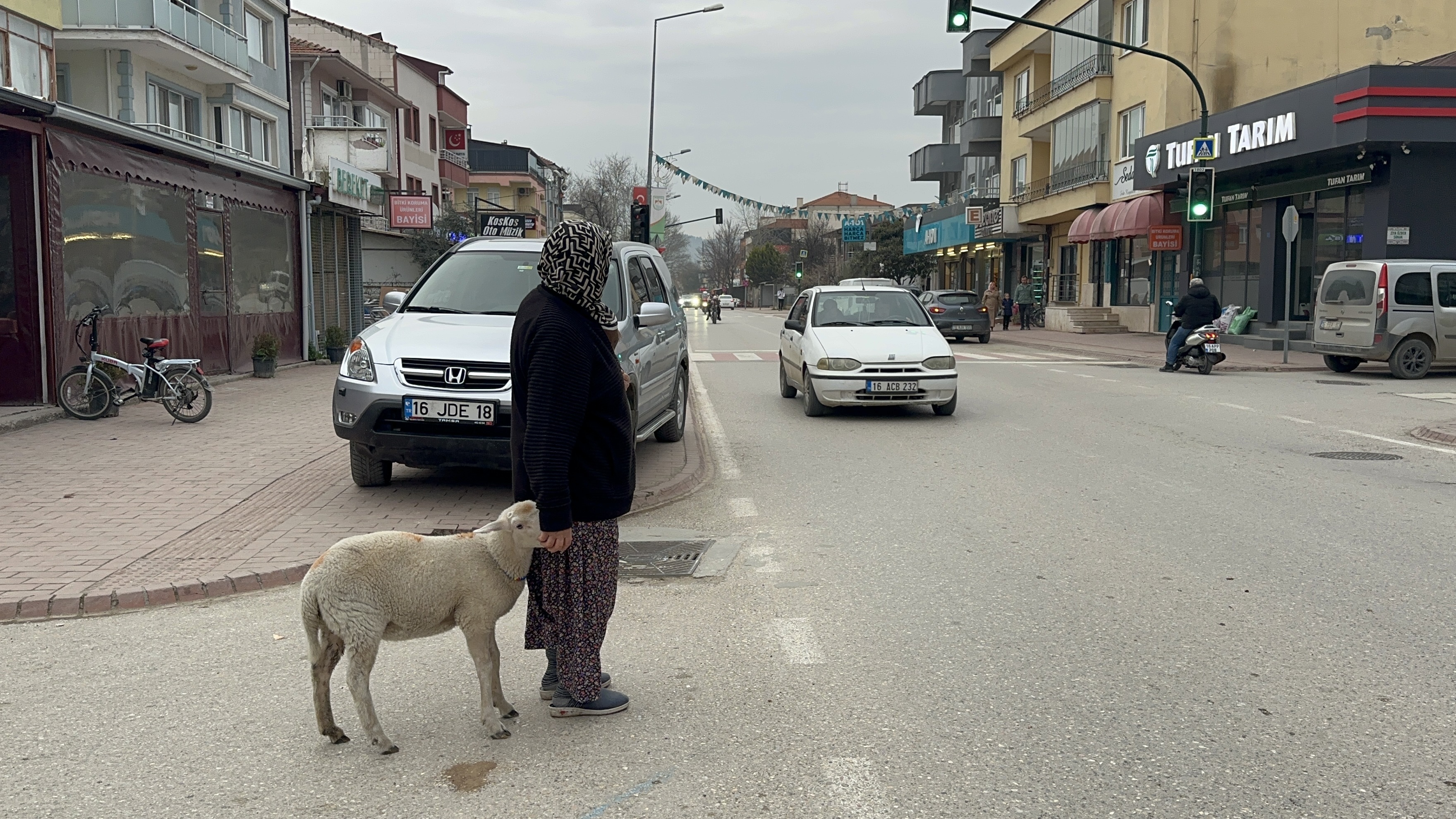 Kuzu 'Çorap', yanından ayrılmadığı sahibi ile pide sırasına giriyor - Görsel 5