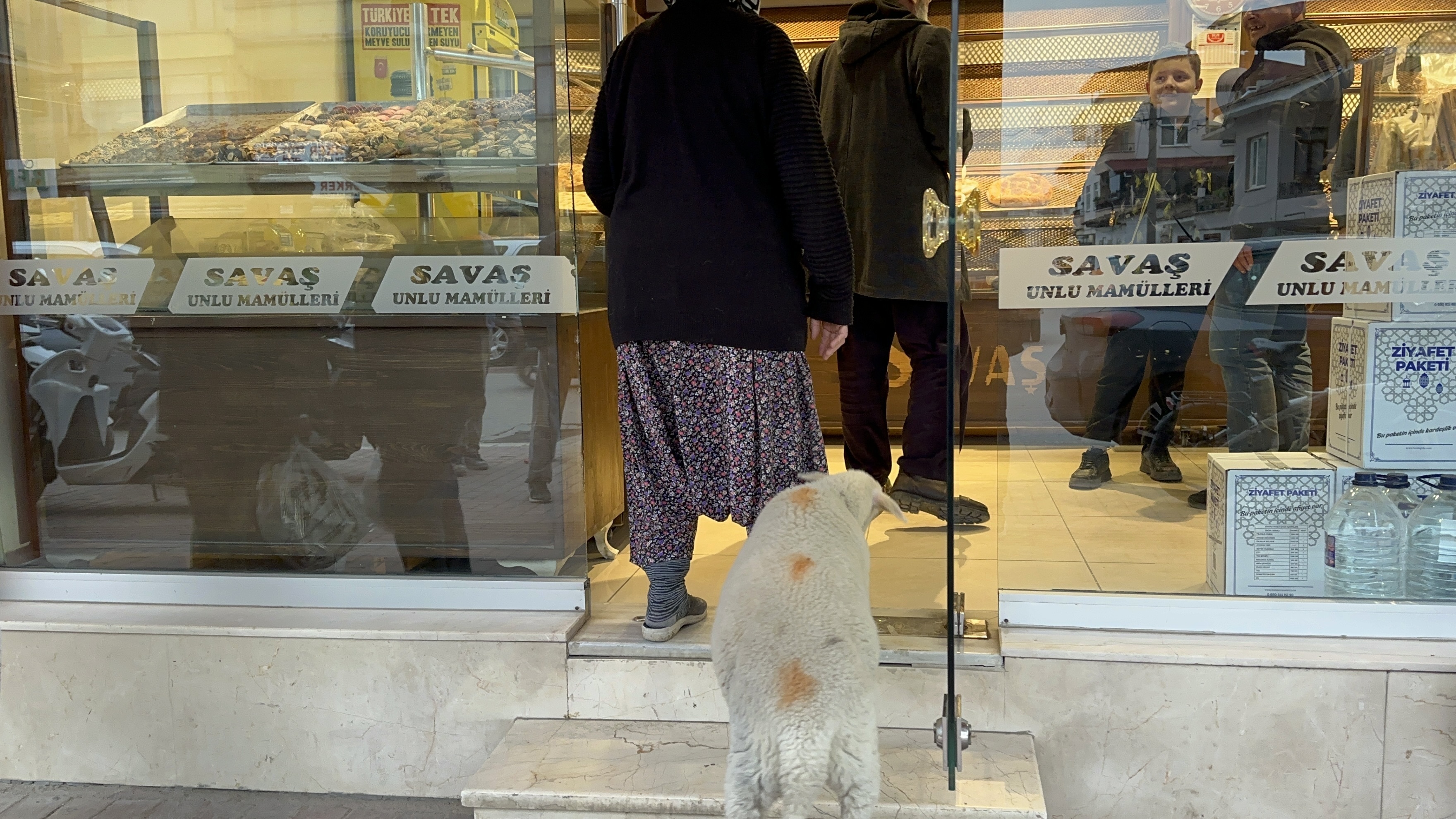 Kuzu 'Çorap', yanından ayrılmadığı sahibi ile pide sırasına giriyor - Görsel 6