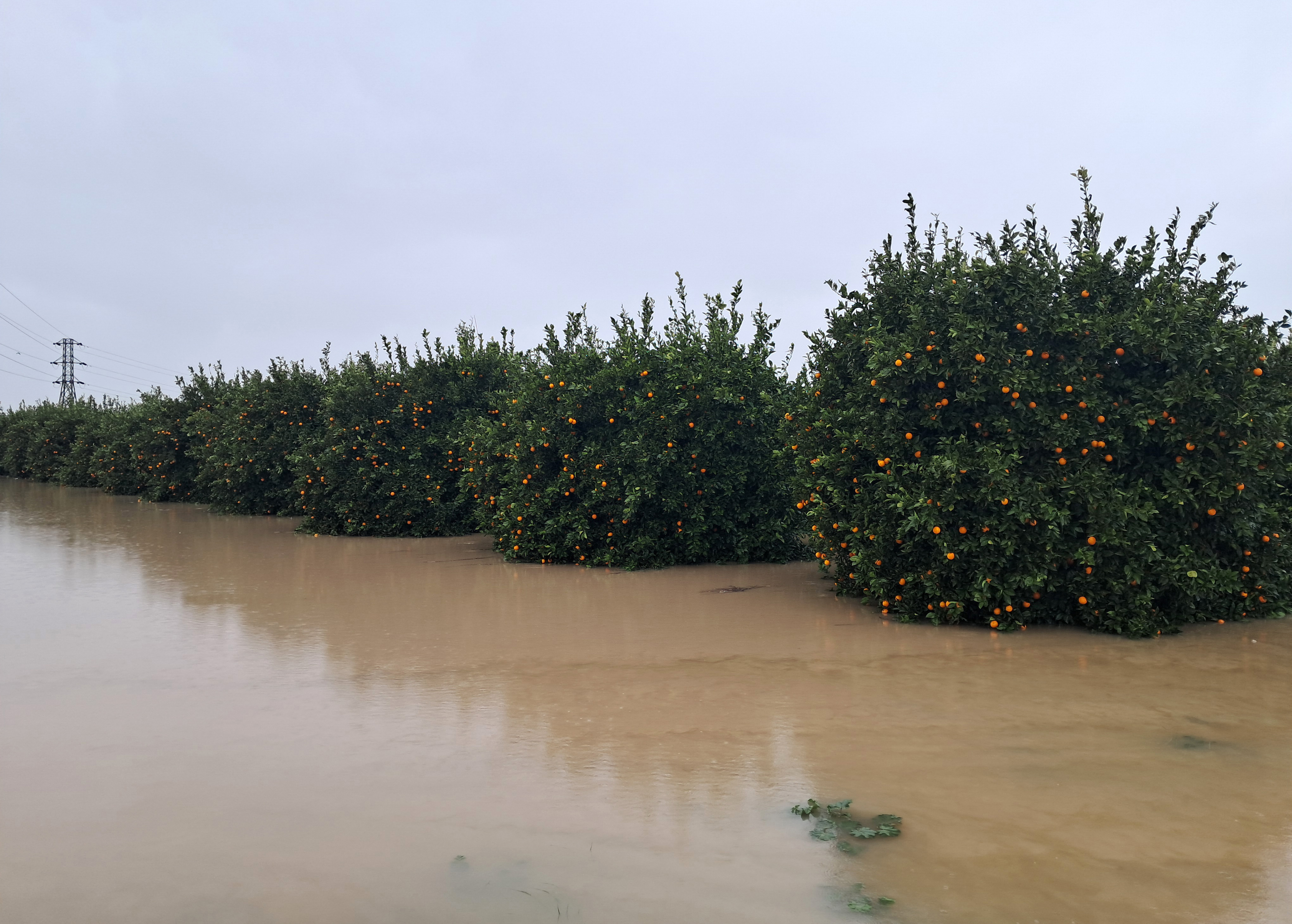 Antalya'da fırtına, hortum ve sel felaketinin faturası 3 milyar TL - Görsel 3