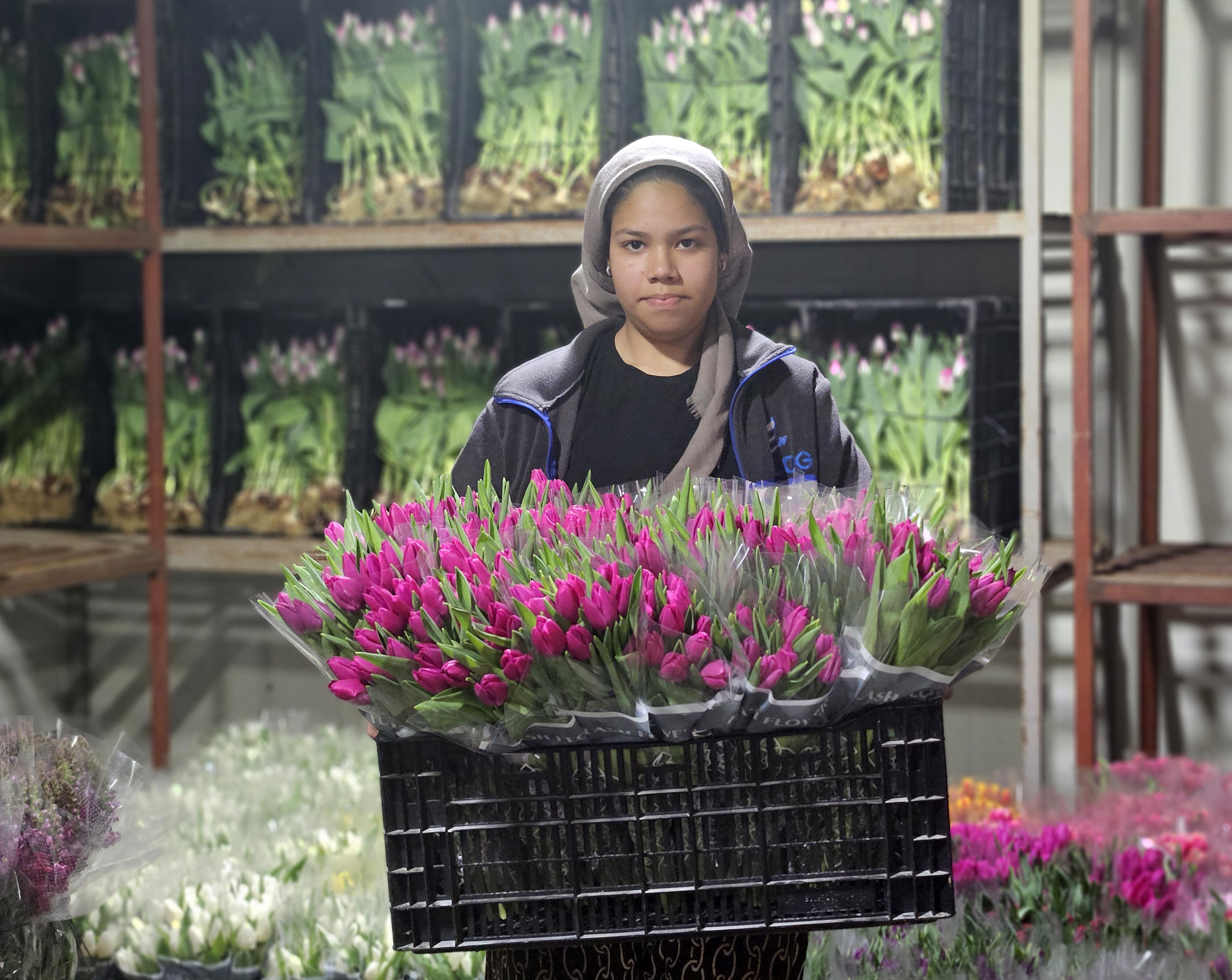 Kadınlar Günü'ne özel suda lale üretimi(ÖZEL HABER) - Görsel 3