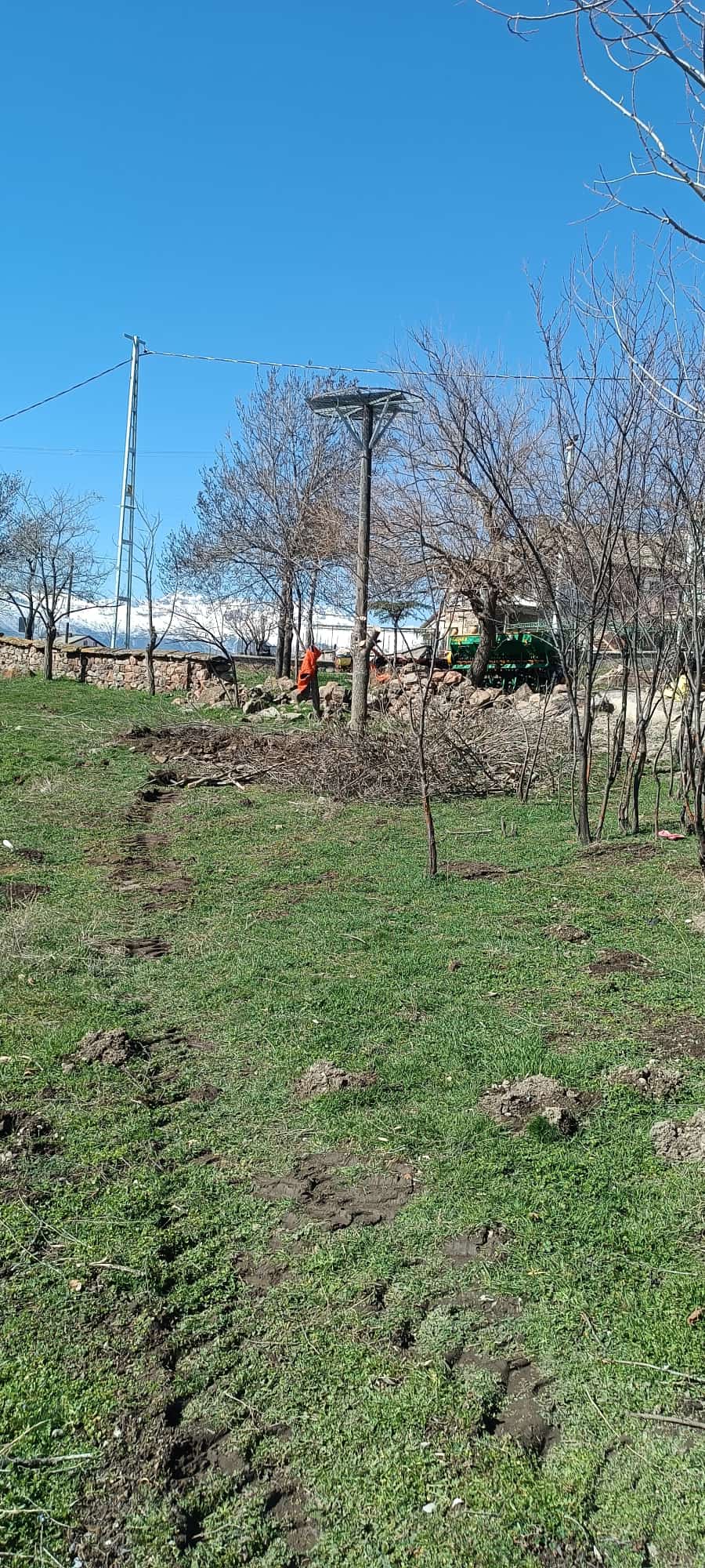 Seydişehir İncesu’da Leylekler Yuvaya Dönüyor: 5 Yıllık Hasret Bitti - Görsel 8