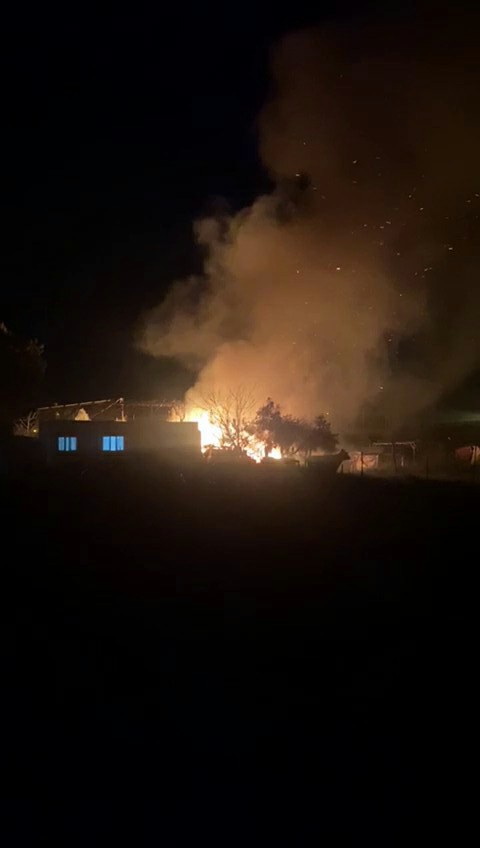 Adana'da bir evin deposunda çıkan yangından 40 güvercin öldü - Görsel 2