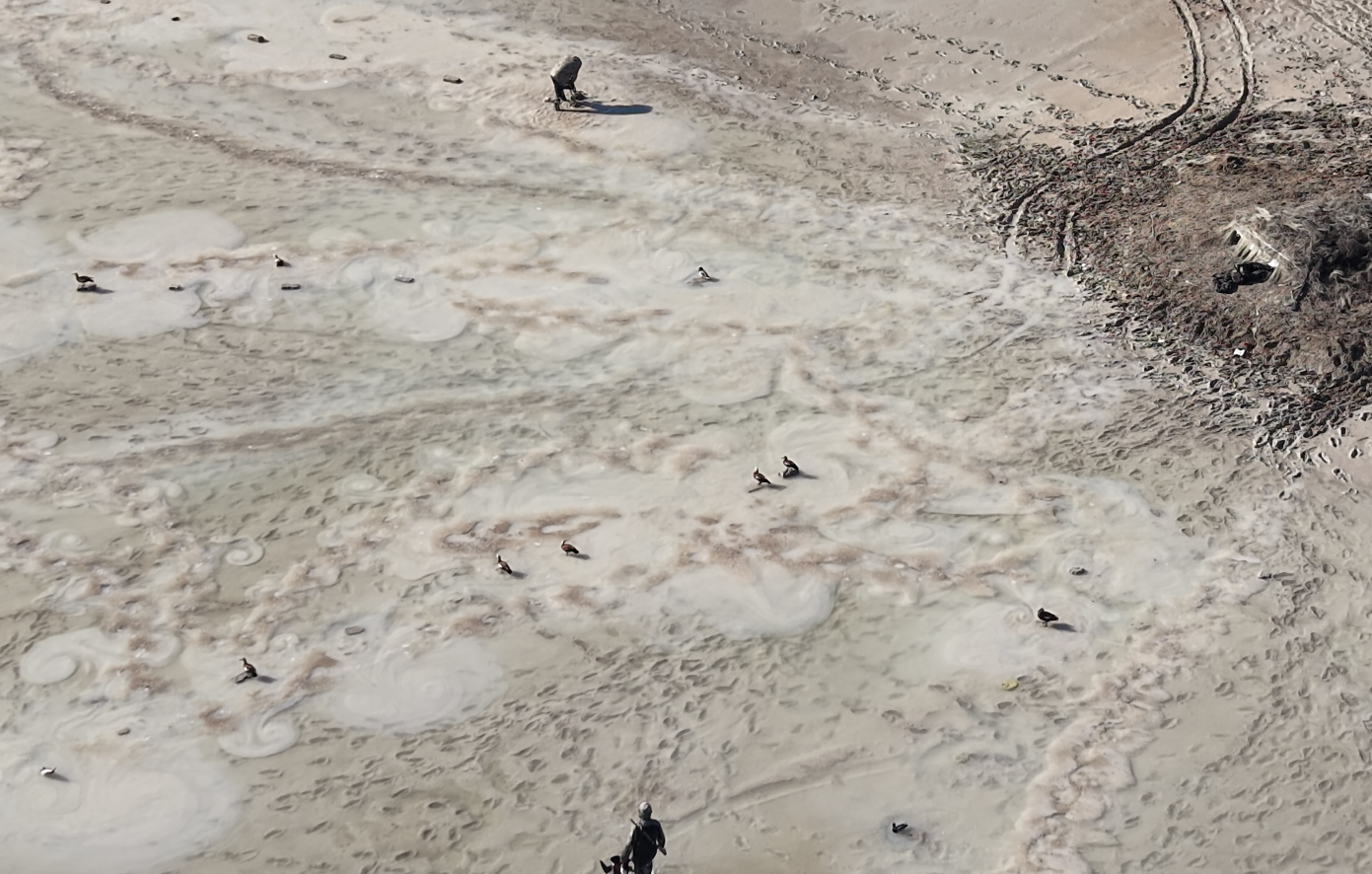 Kaçak avcılar doğa koruma ekiplerine ateş açtı, o anlar dron kamerasında(ÖZEL HABER) - Görsel 8