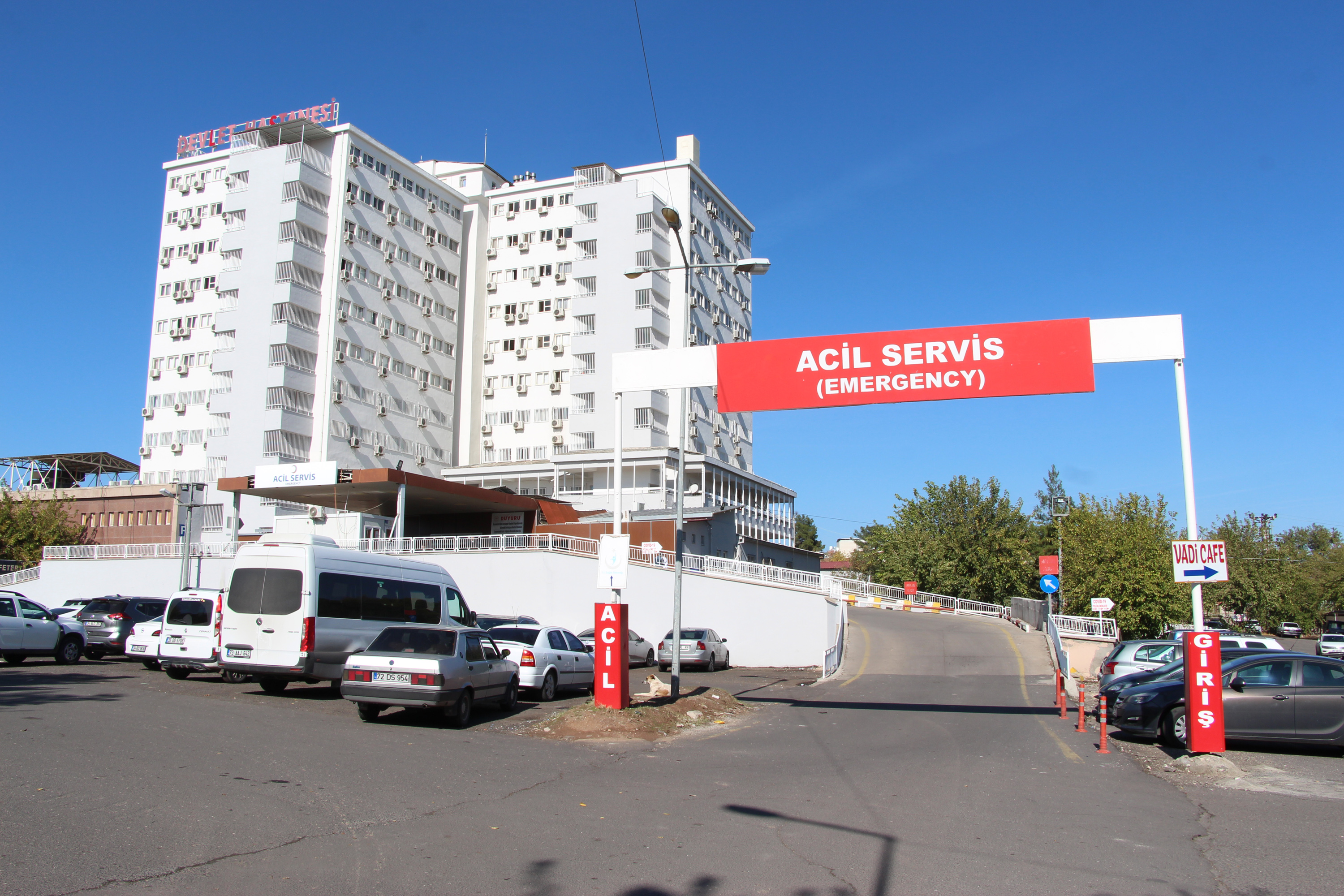 Kaçan ineğini yakalamak isterken hafif ticari aracın çarptığı kişi öldü - Görsel 3