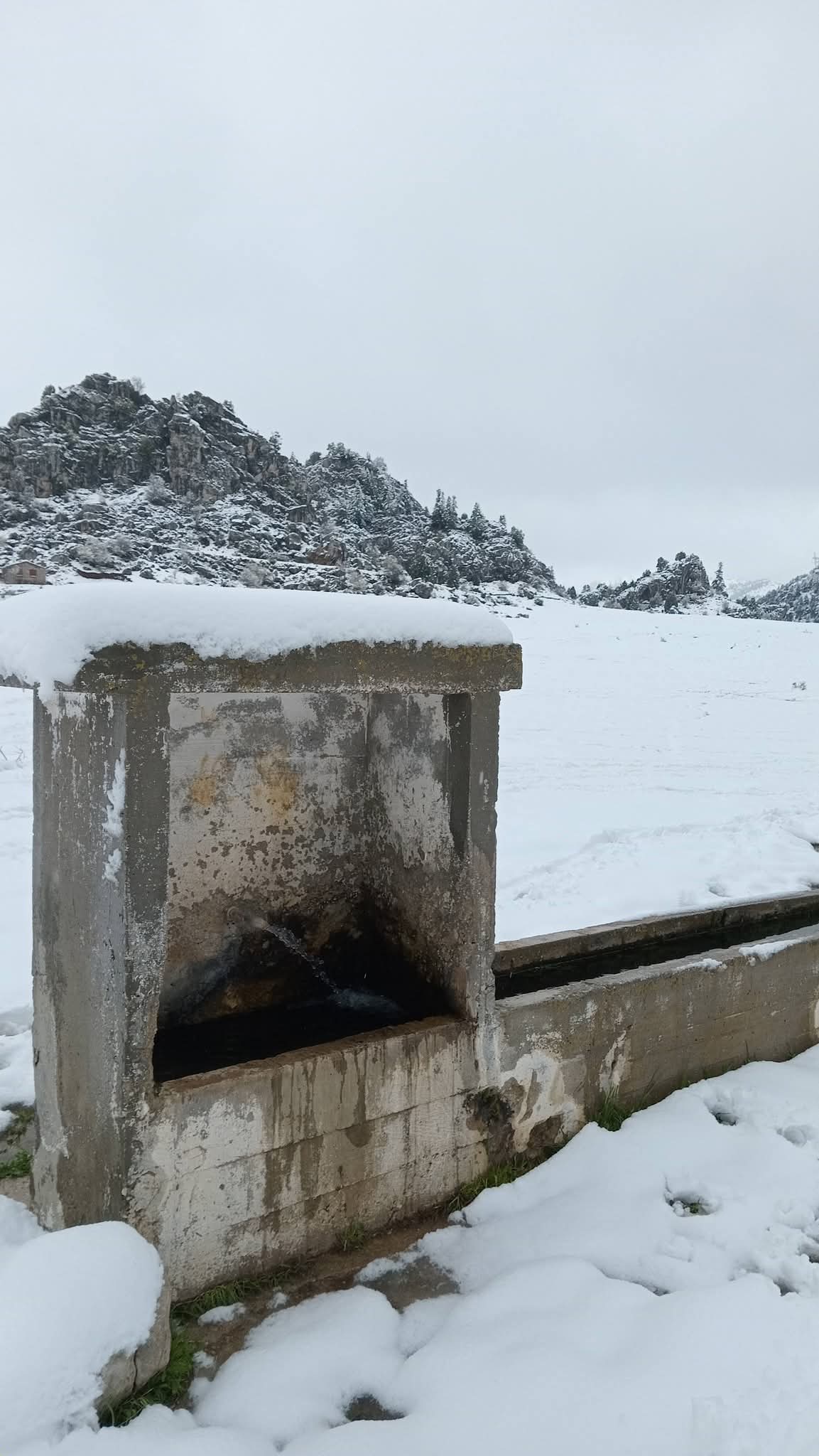 Seydişehir’de Bahar Sürprizi: Madenli Yaylasında  kar kalınlığı 20 cm  olarak ölçüldü. - Görsel 3