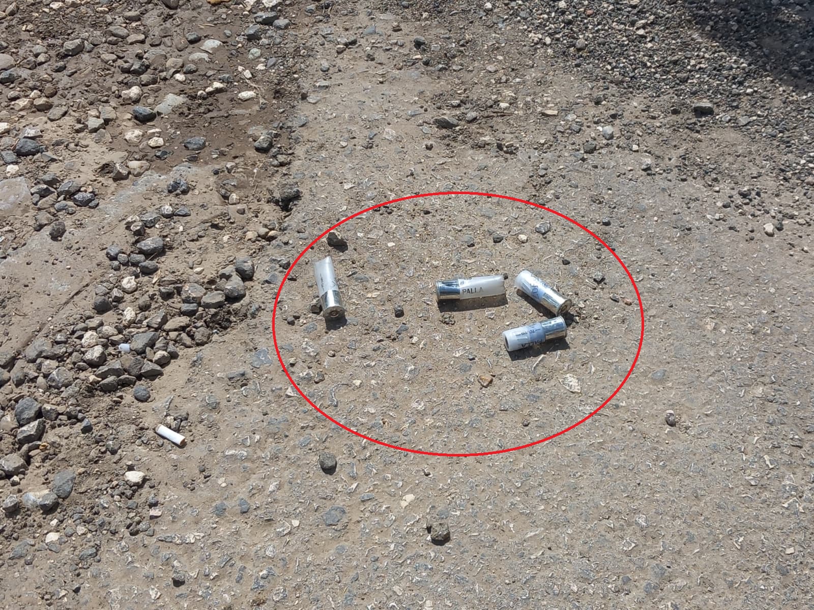 Okul çevresinde peş peşe silah sıkıldı, öğrenciler ve veliler korku dolu anlar yaşadı - Görsel 8