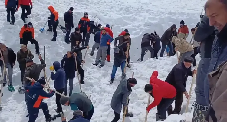 Artvin-Çığ altında kalan çobanın cansız bedenine ulaşıldı - Görsel 2