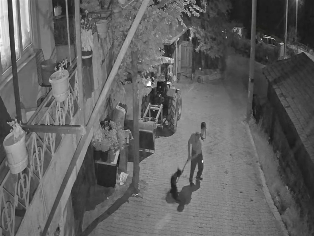Köpeği demir çubukla öldüren şüpheli tutuklandı - Görsel 4