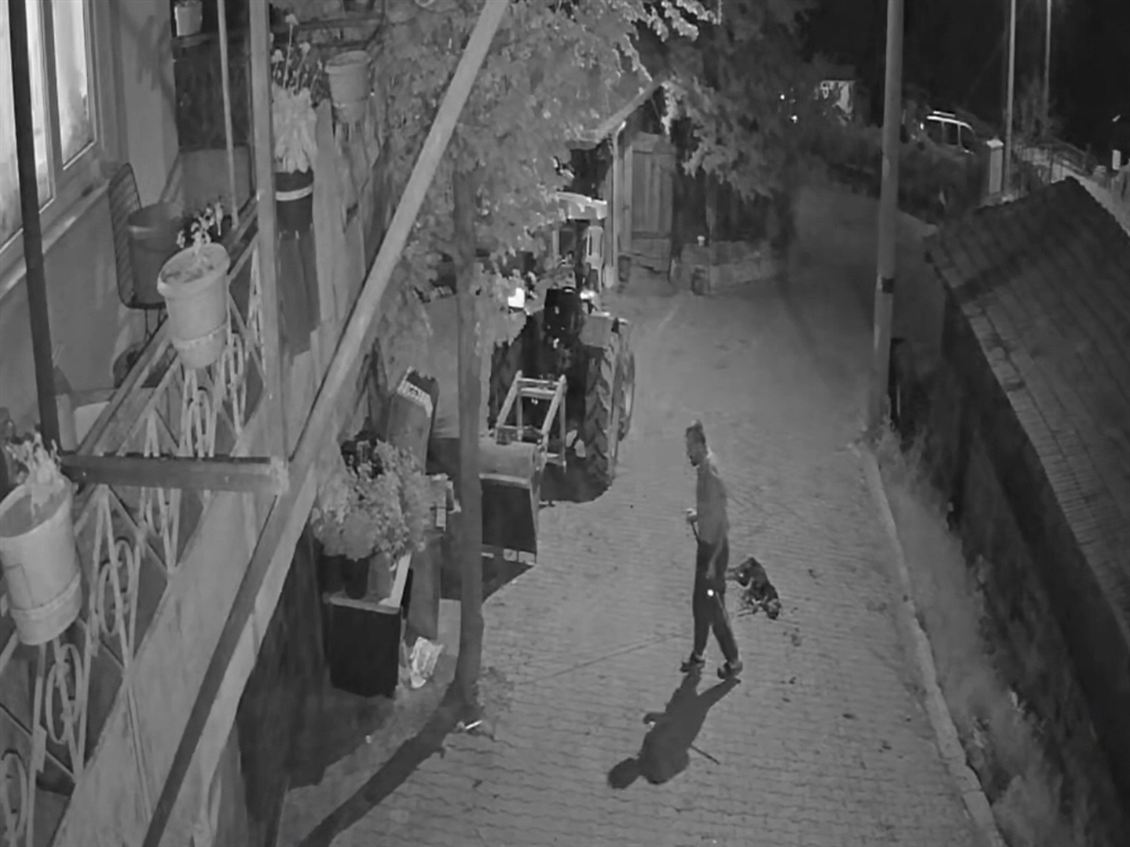 Köpeği demir çubukla öldüren şüpheli tutuklandı - Görsel 6