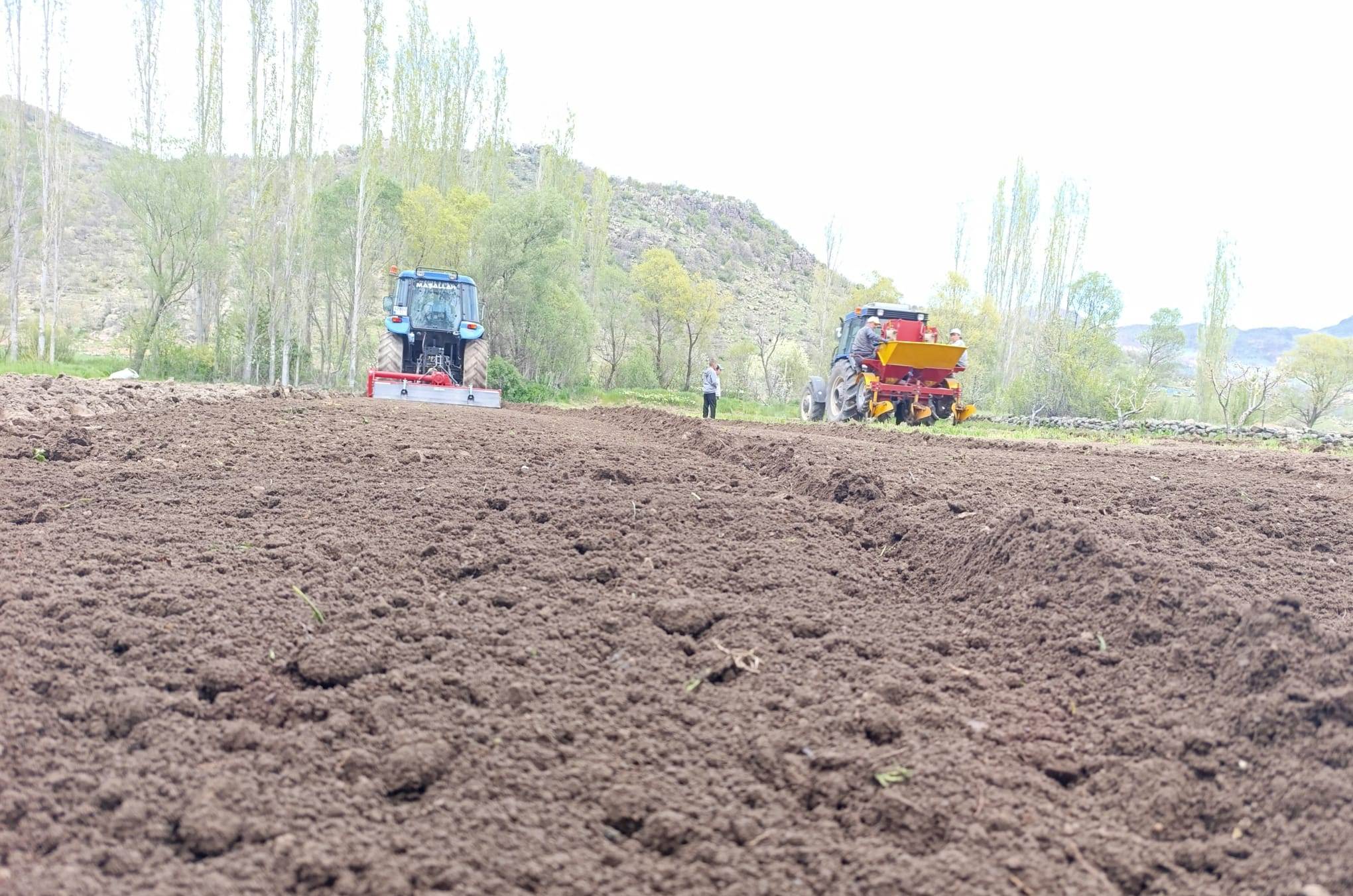 Seydişehir’in Meşhur Ketenli Patatesi Toprakla Buluşuyor - Görsel 1