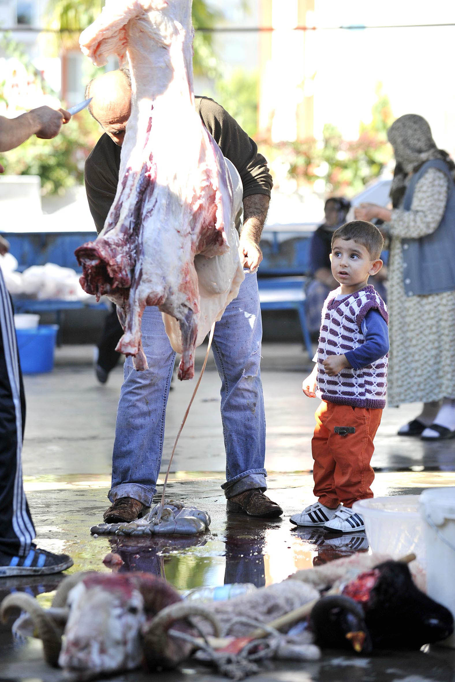'12 yaşından küçüklere kurban kesimini göstermeyin - Görsel 3