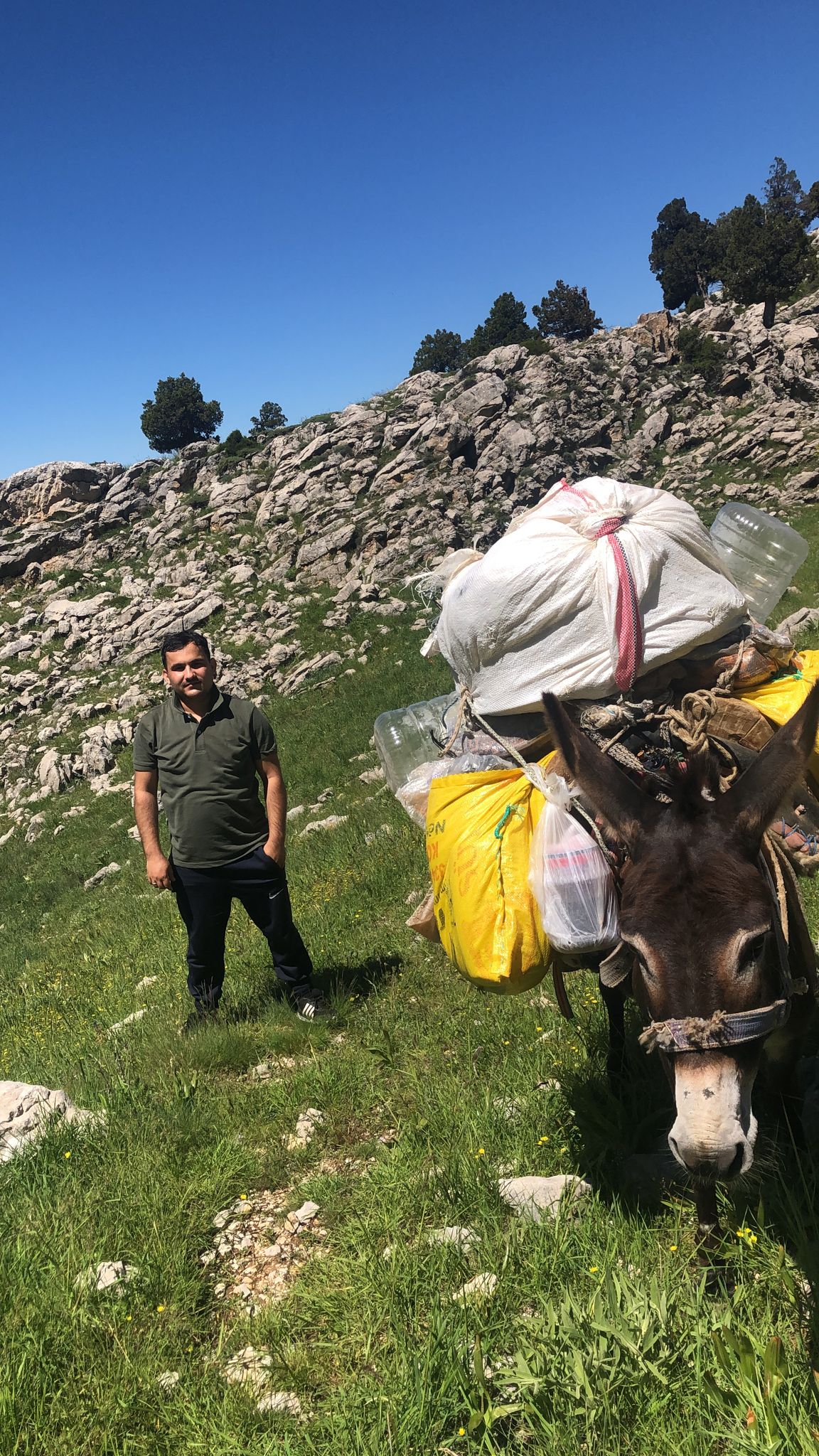 Antalya'da Sıcaklar Başladı, Yörükler Toroslar ve Küpe Yaylası'na Doğru Yola Çıktı - Görsel 4